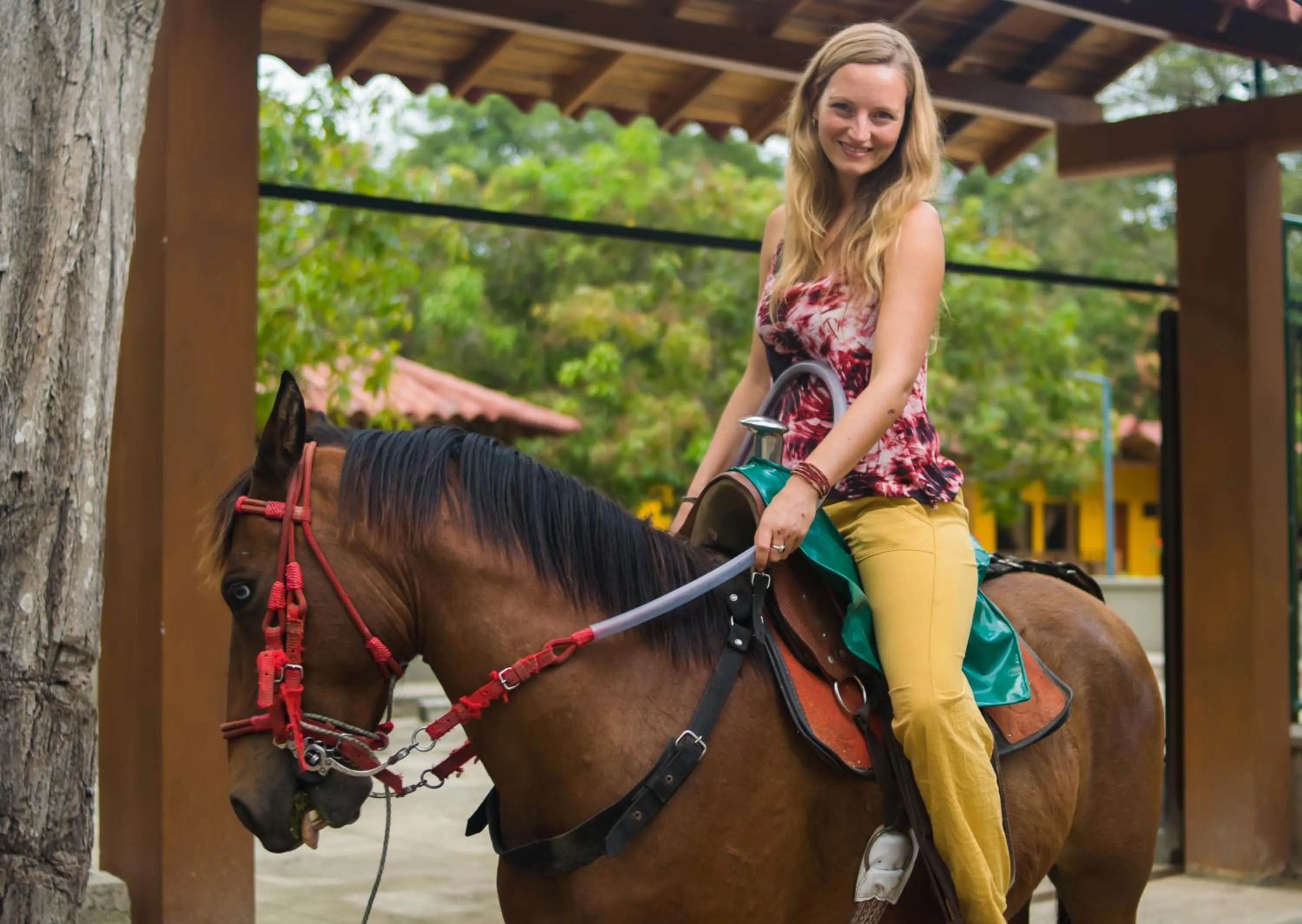 Day in Senderos del Mar - Tayrona