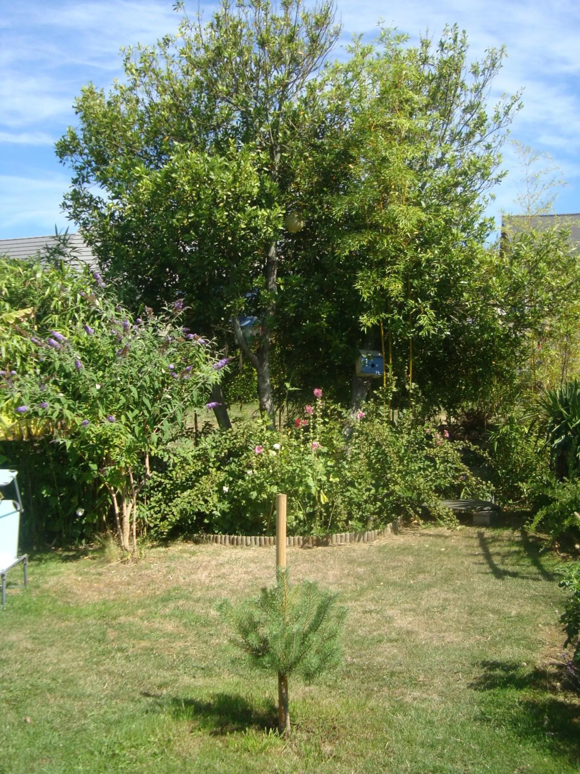 Garden in Studio "LA MEDINA", PISCINE dès le 12 juillet, JARDIN BOTANIQUE, COMMERCES &MER
