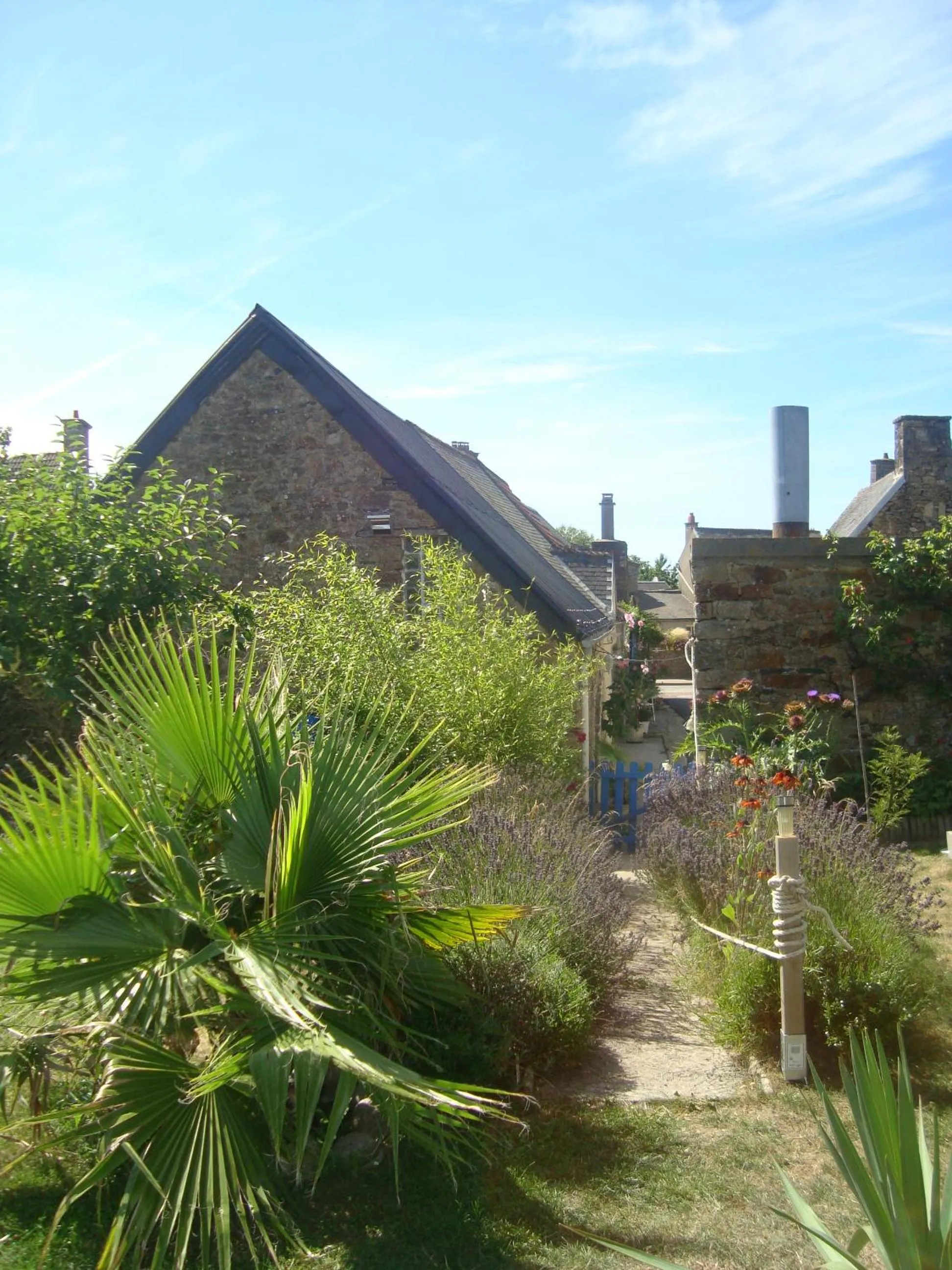 Garden in Studio "LA MEDINA", PISCINE dès le 12 juillet, JARDIN BOTANIQUE, COMMERCES &MER