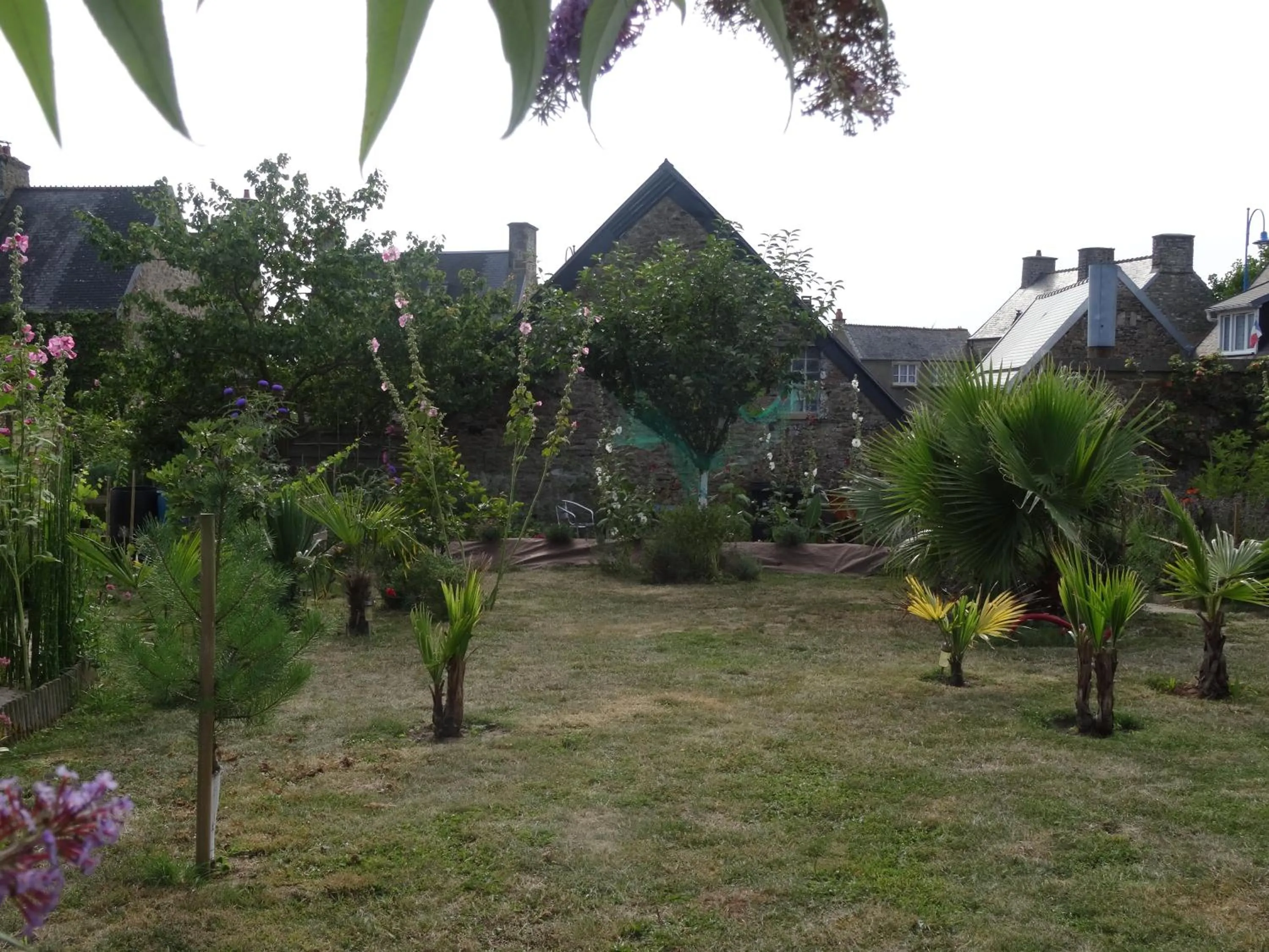 Garden in Studio "LA MEDINA", PISCINE dès le 12 juillet, JARDIN BOTANIQUE, COMMERCES &MER