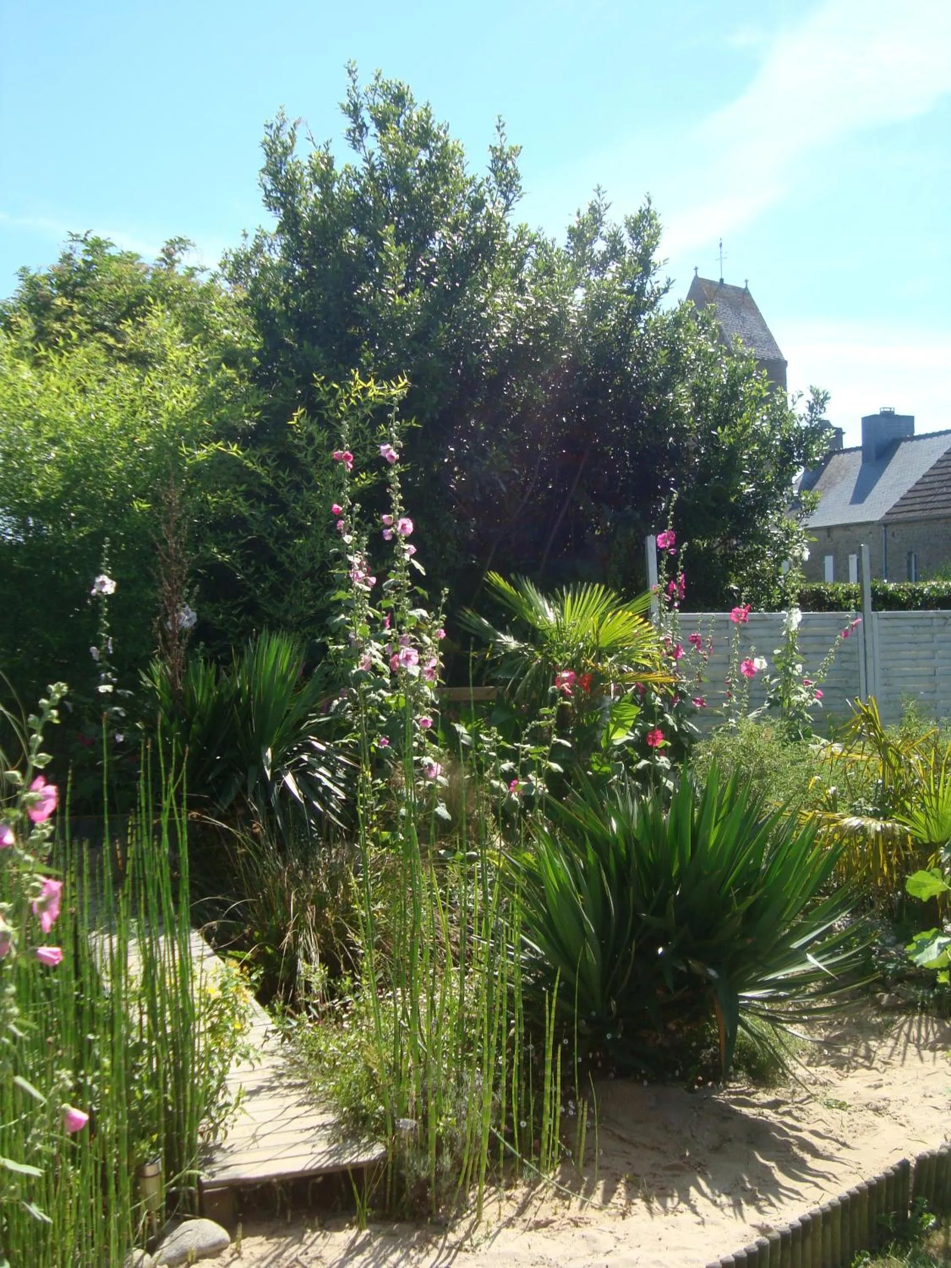 Garden in Studio "LA MEDINA", PISCINE dès le 12 juillet, JARDIN BOTANIQUE, COMMERCES &MER