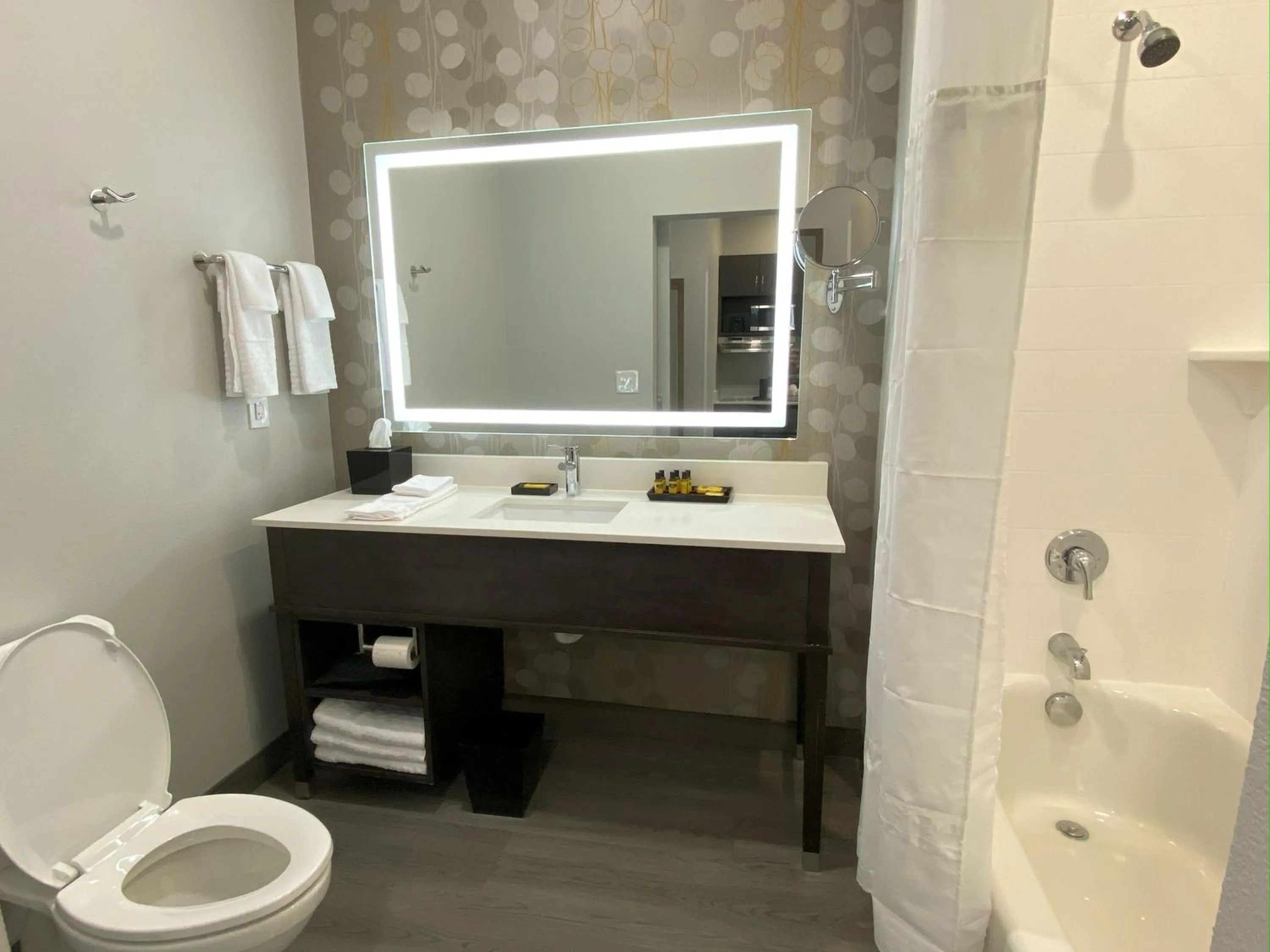 Bathroom in Best Western Plus Executive Residency Nashville Antioch