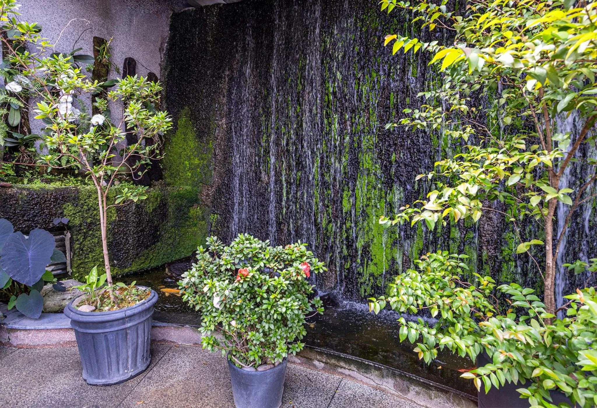 Garden view in Nikkey Palace Hotel