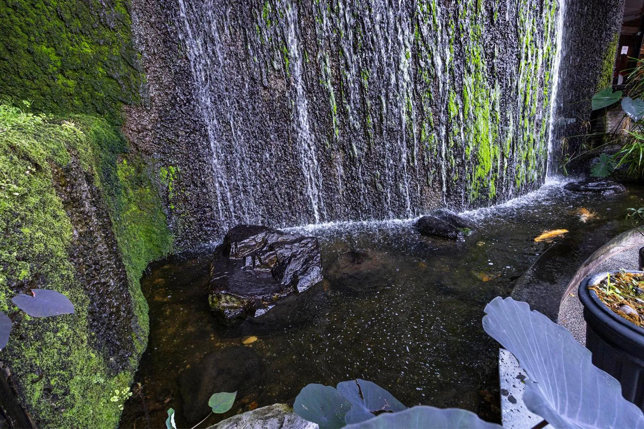 Natural landscape in Nikkey Palace Hotel