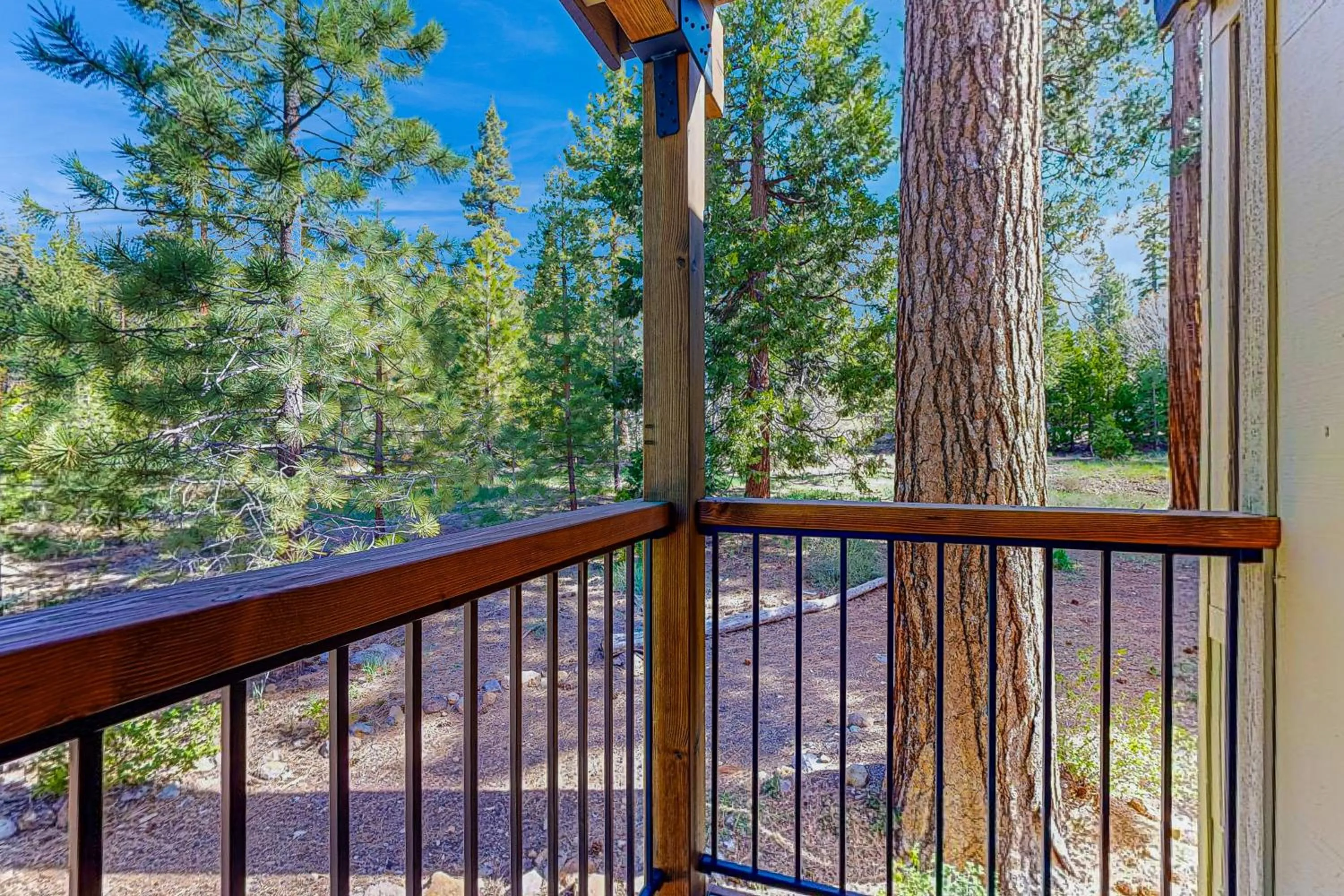 Kings Run Relaxation