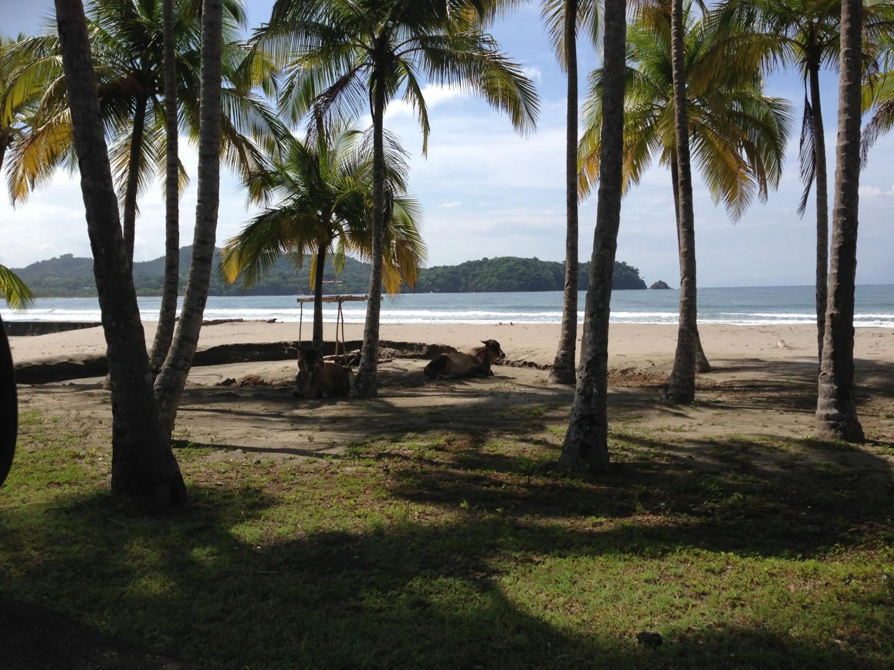 Beach in Montelaguna Boutique Hotel