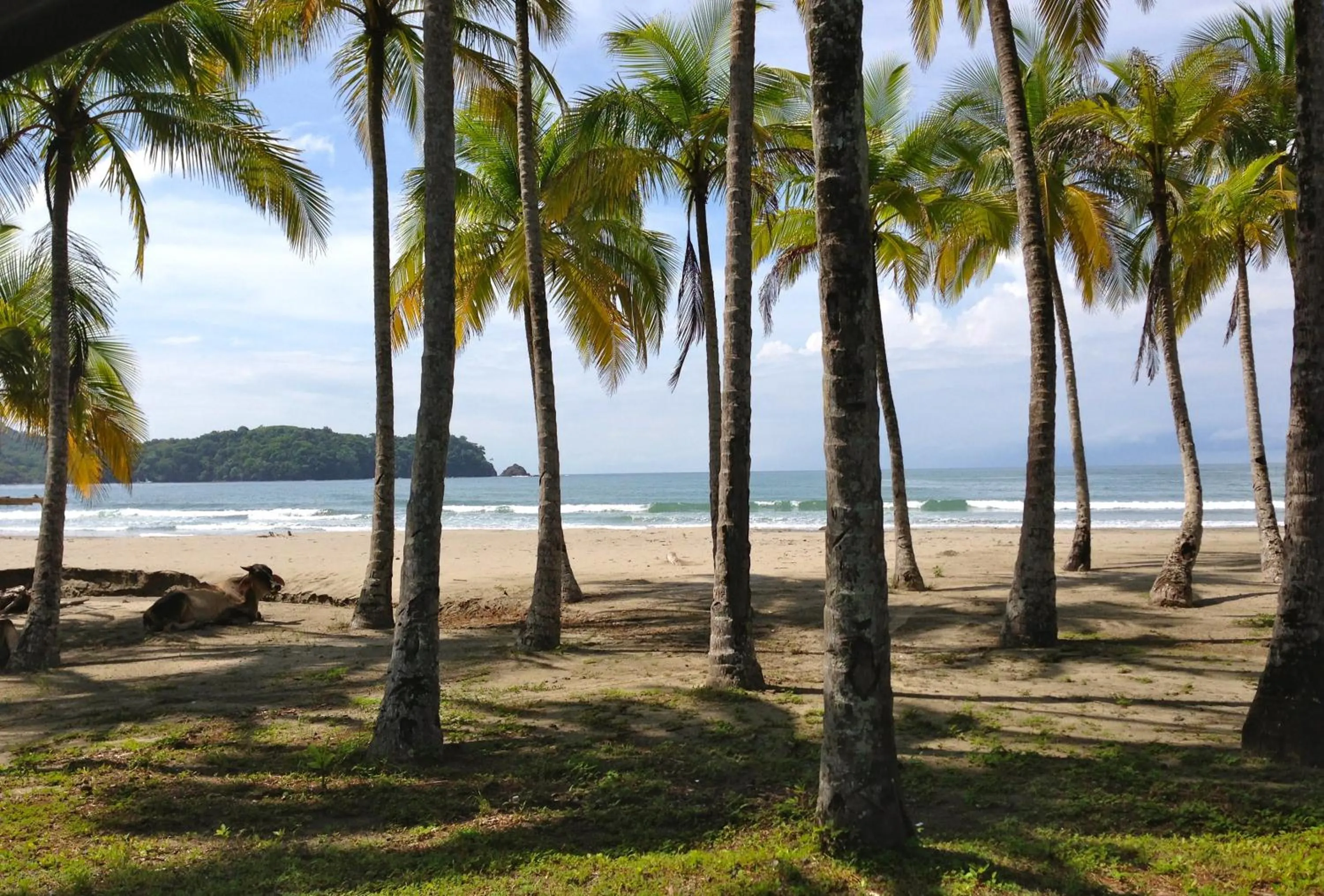 Beach in Montelaguna Boutique Hotel