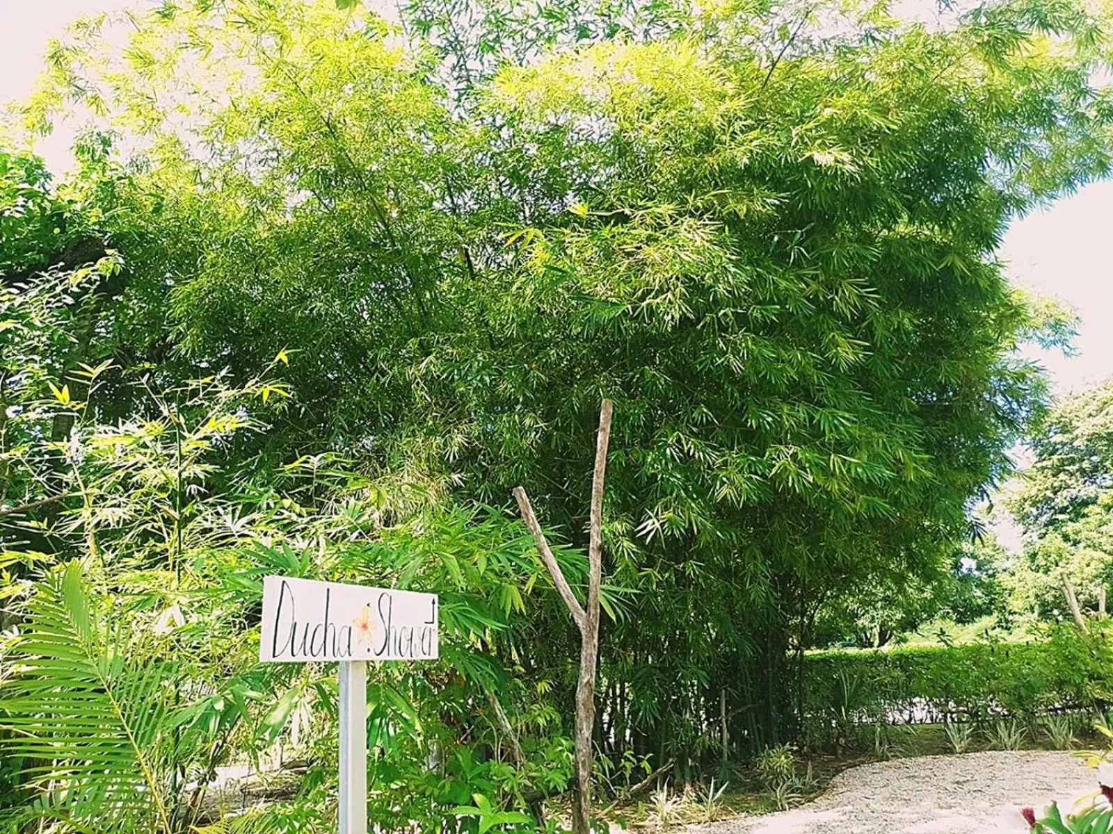 Montelaguna Boutique Hotel