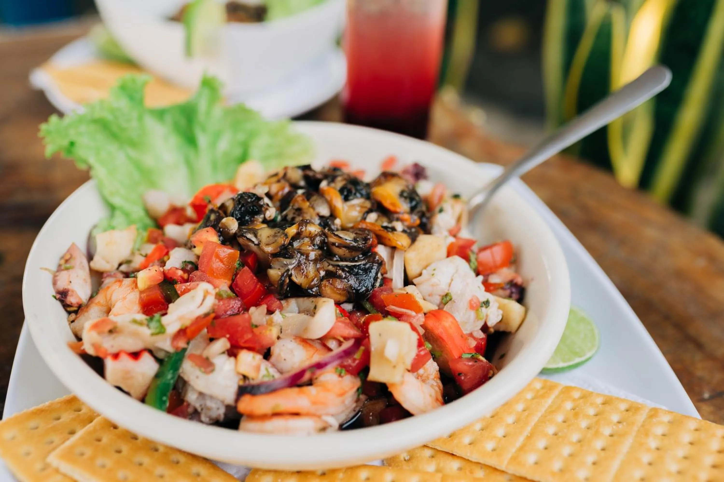 Olas Permanentes El Zonte