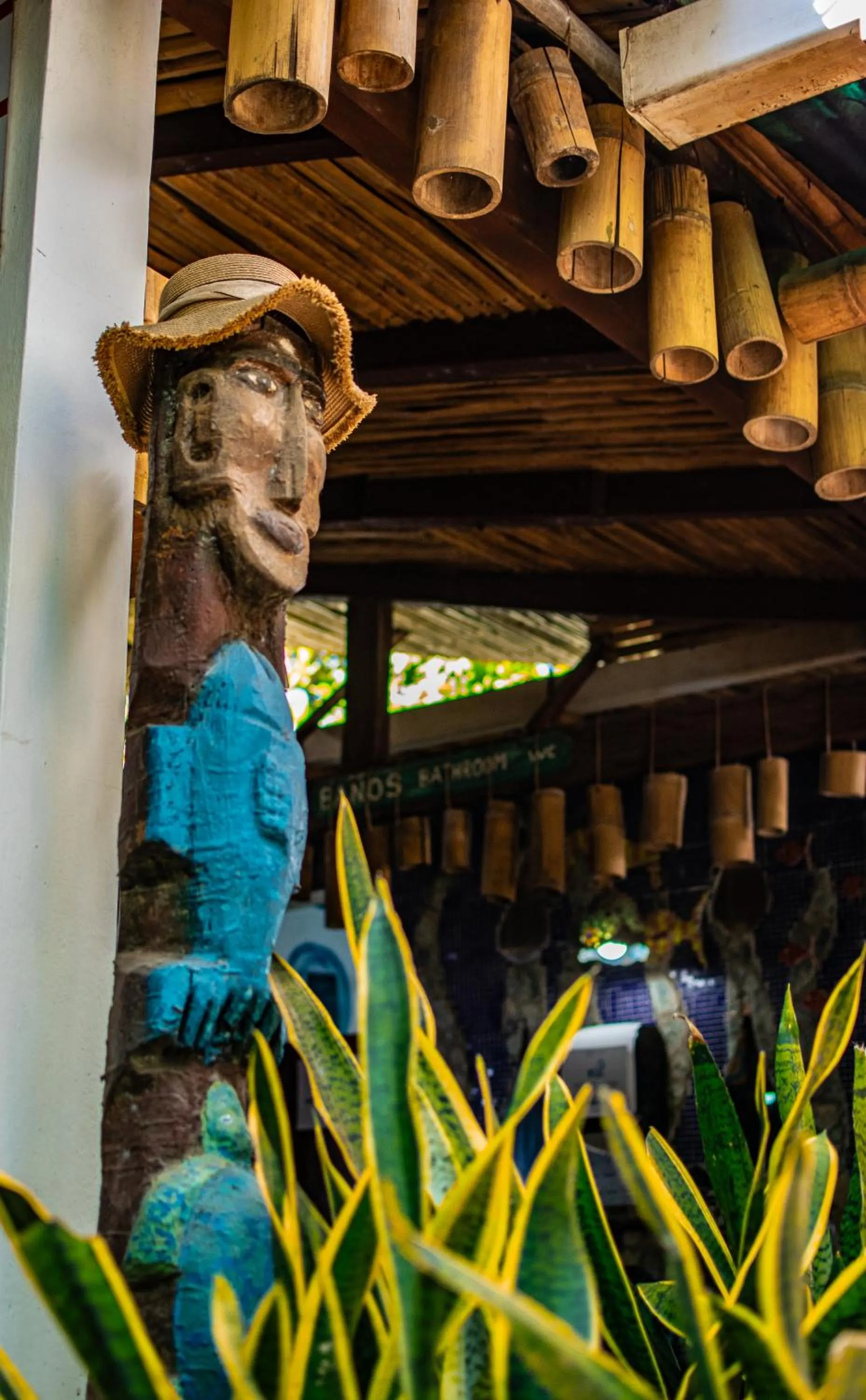 Olas Permanentes El Zonte