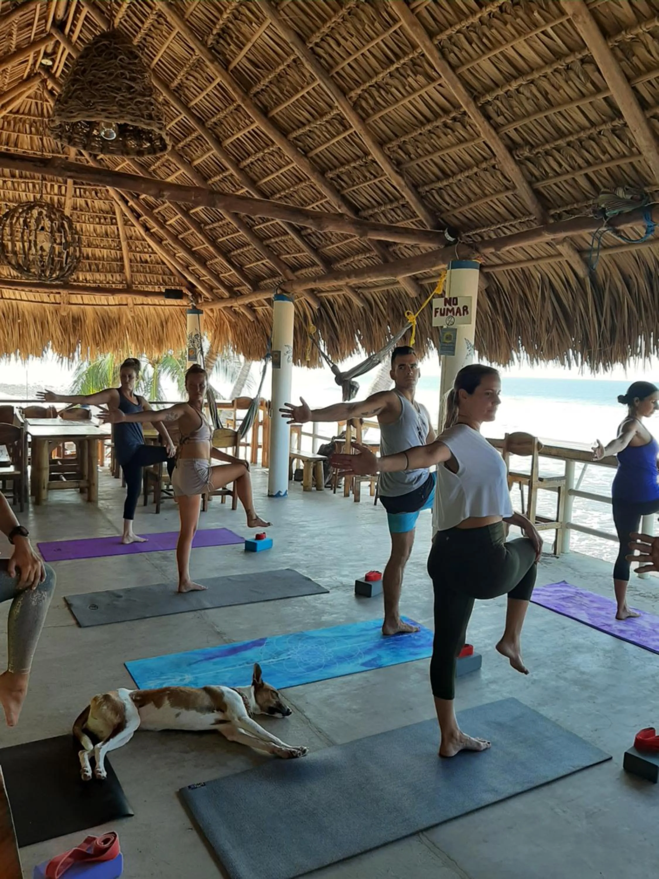 Activities in Olas Permanentes El Zonte