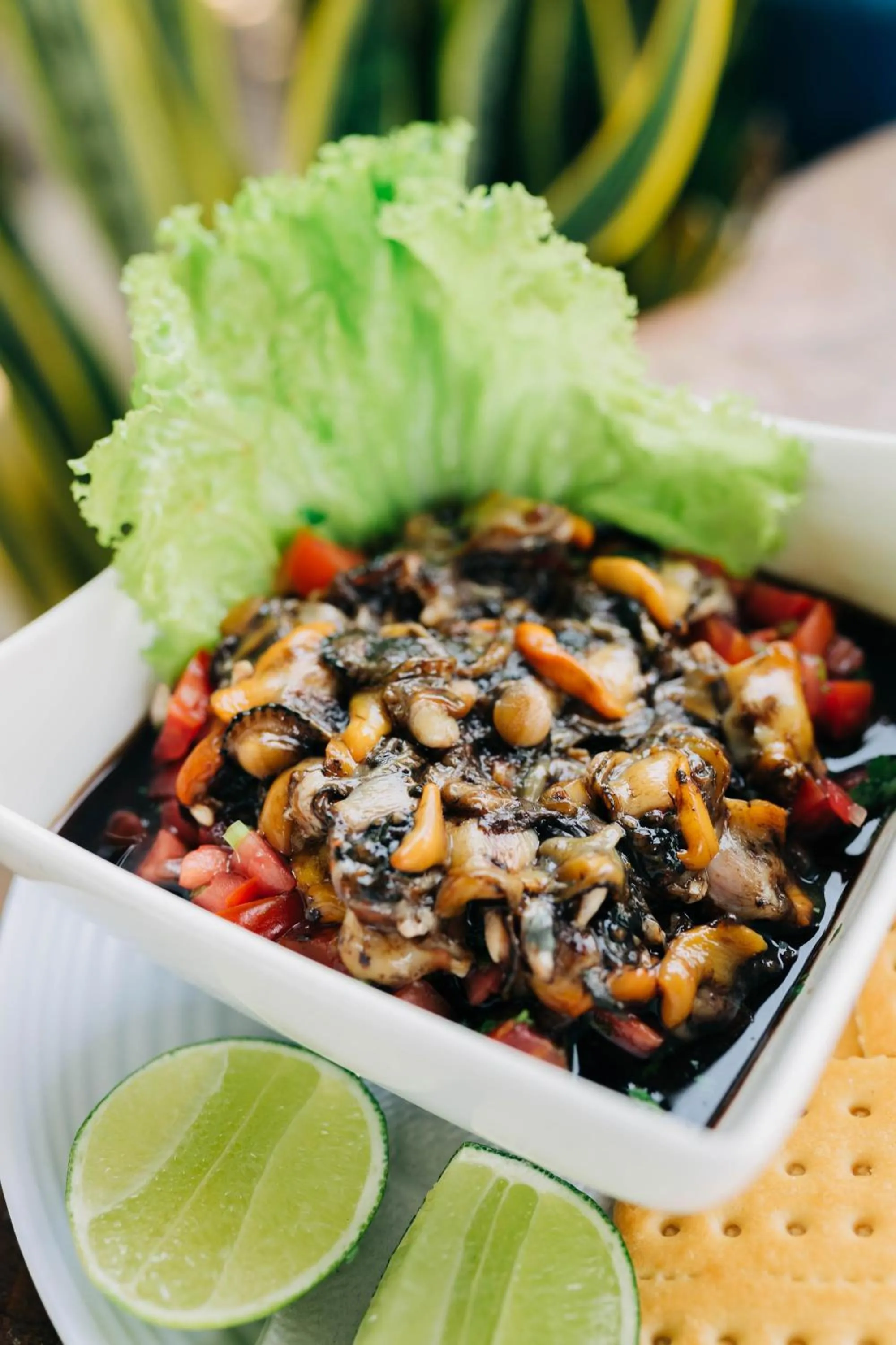 Olas Permanentes El Zonte