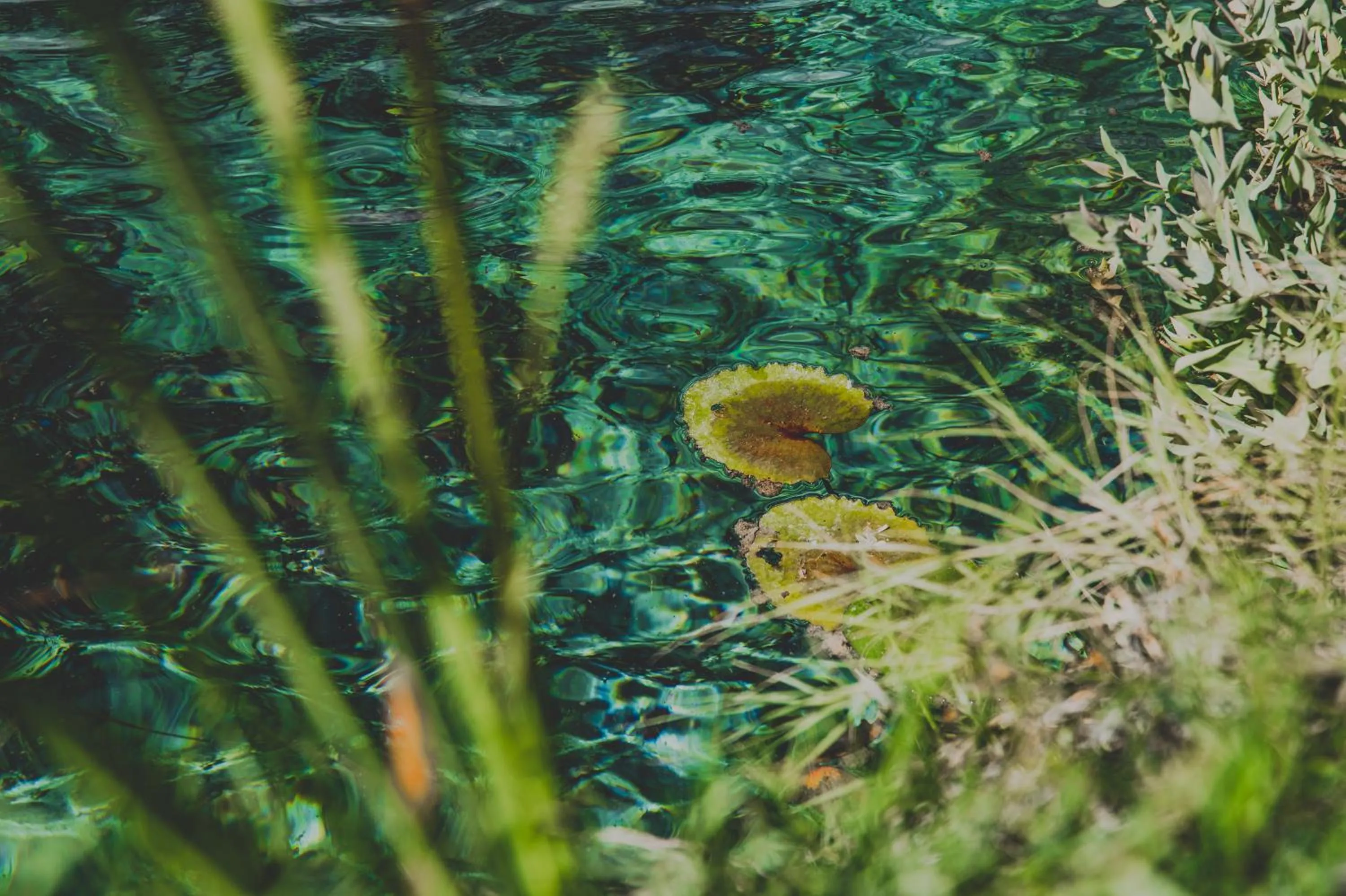 Natural landscape in Hacienda Viga 2020 Hotel