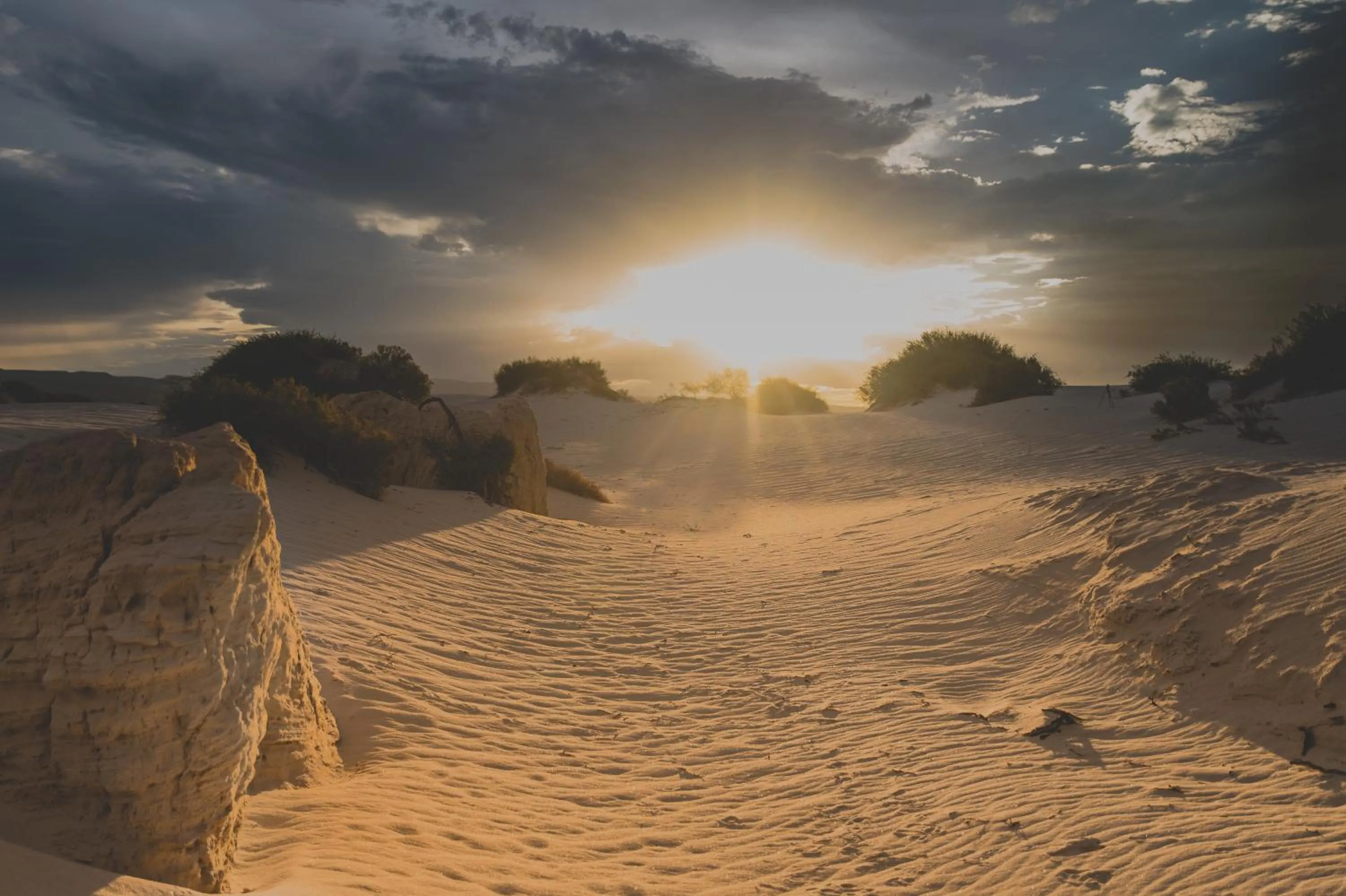 Natural landscape in Hacienda Viga 2020 Hotel