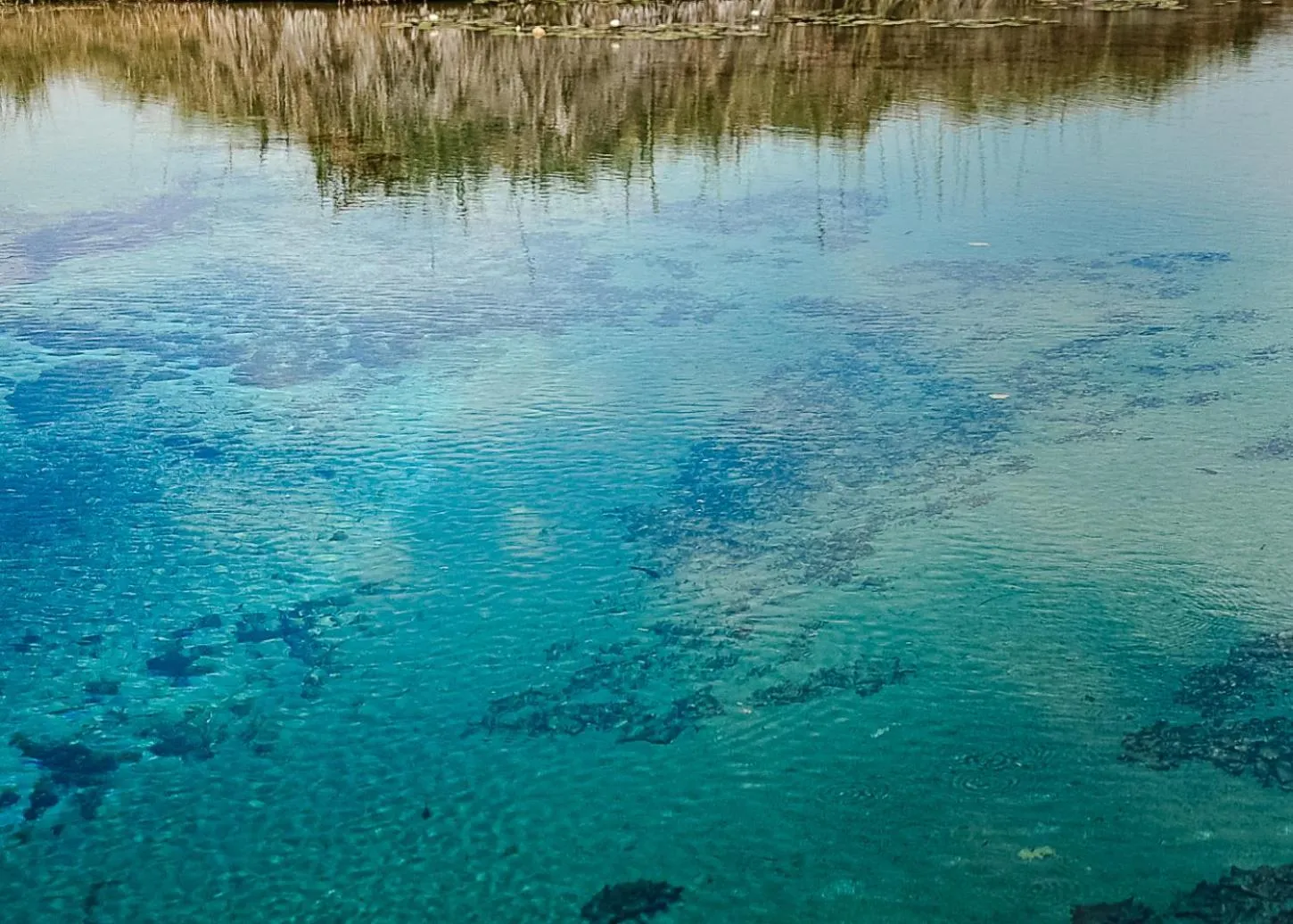 Natural landscape in Hacienda Viga 2020 Hotel