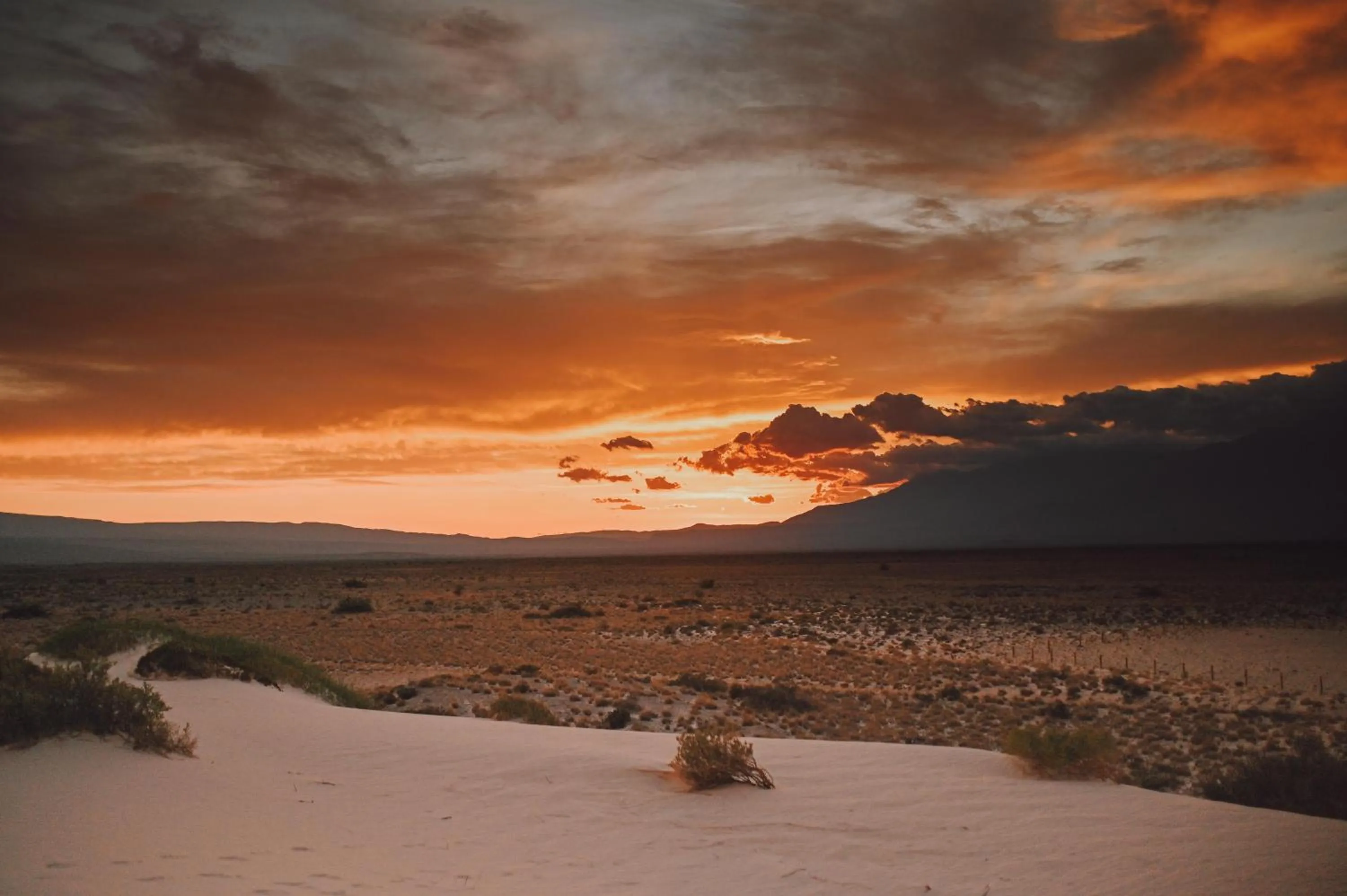 Natural landscape in Hacienda Viga 2020 Hotel