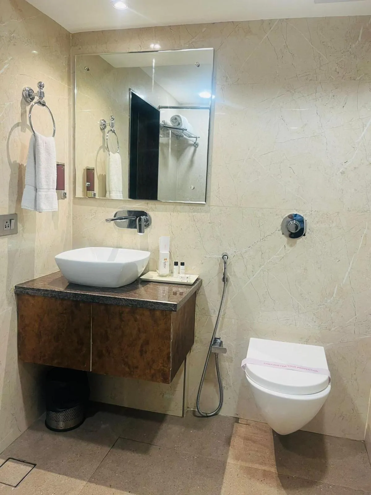 Toilet in Hotel Rajmahal