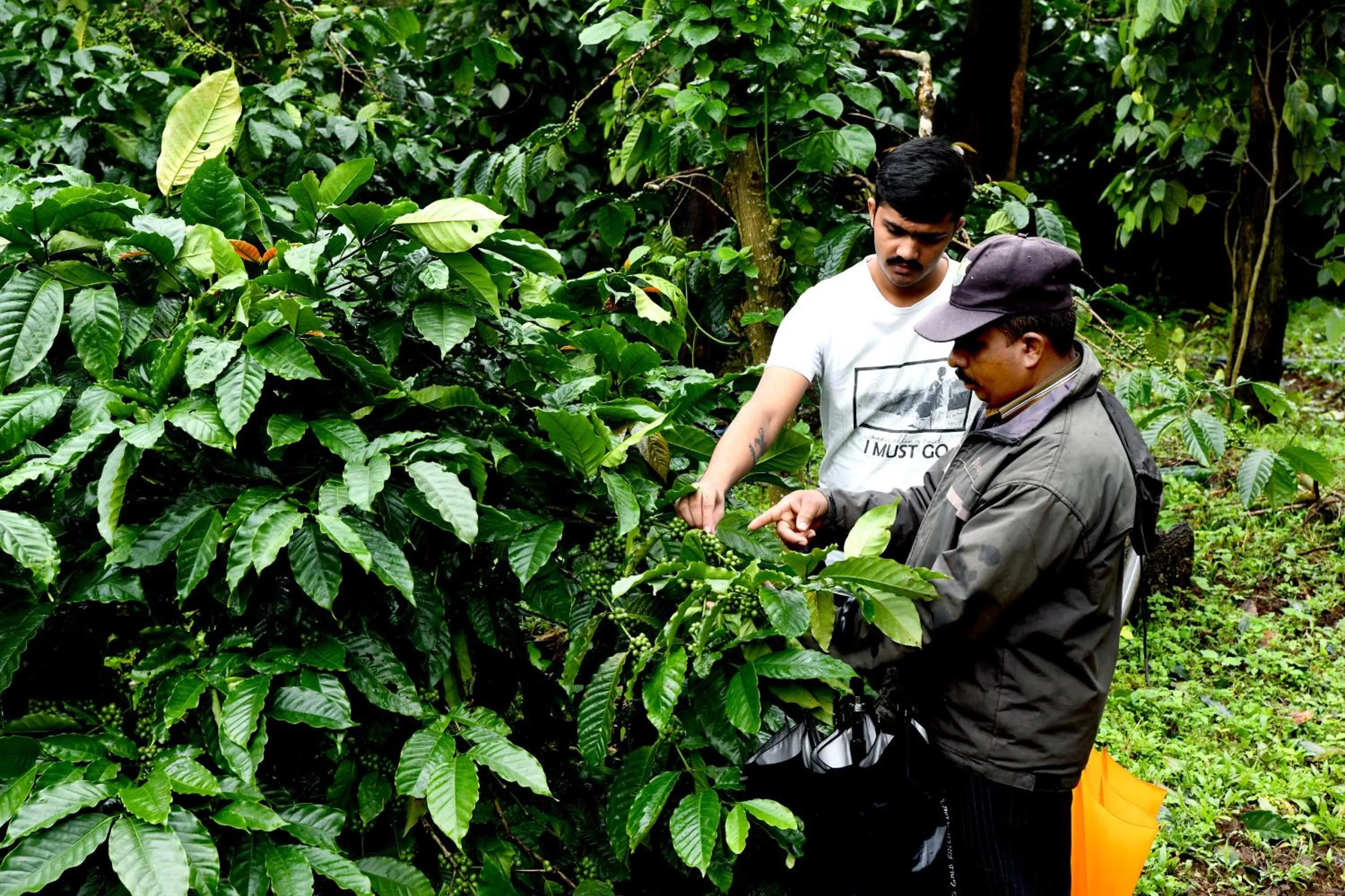 Natural landscape in Unlock By Goldfinch Sakaleshpur