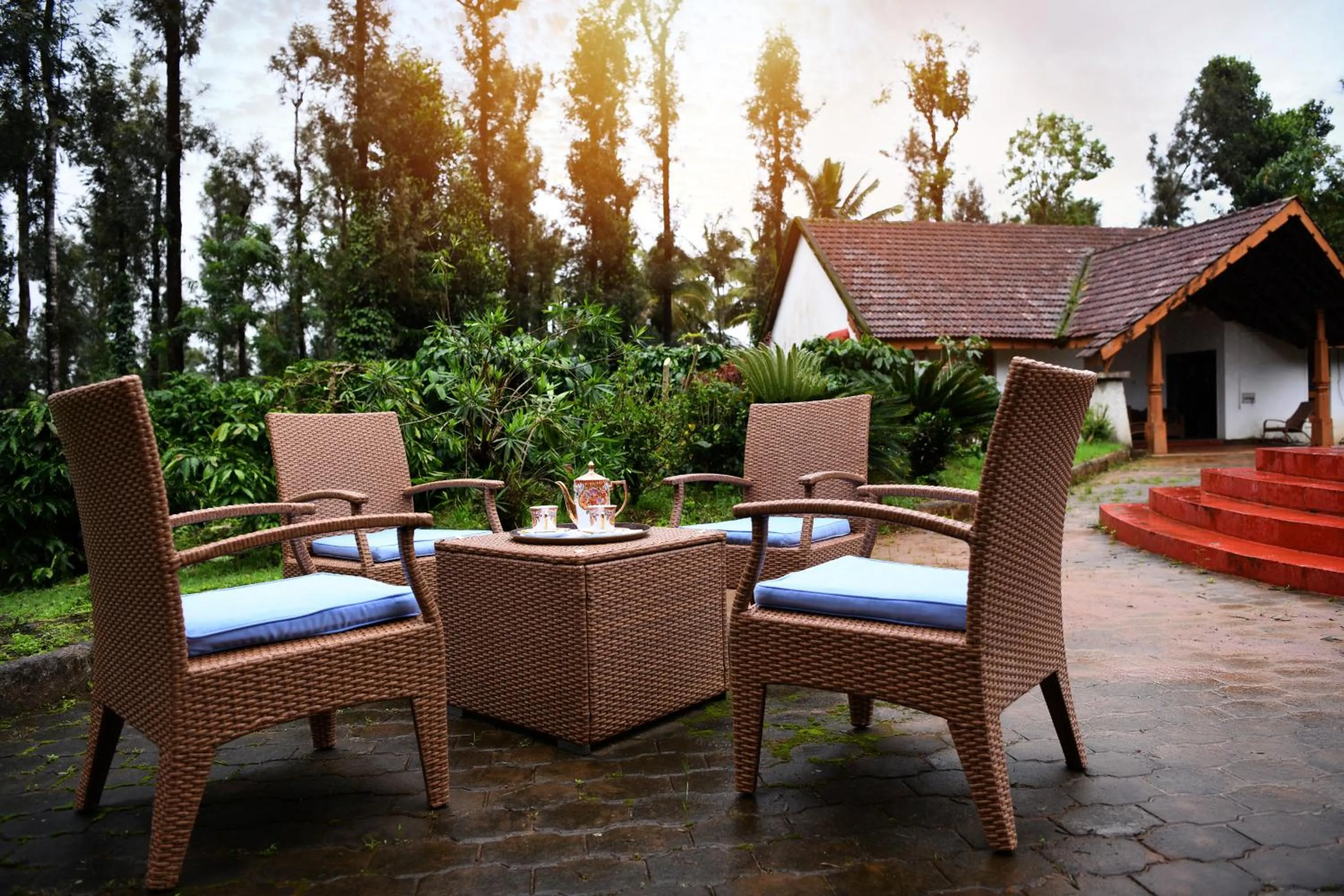 Spring in Unlock By Goldfinch Sakaleshpur