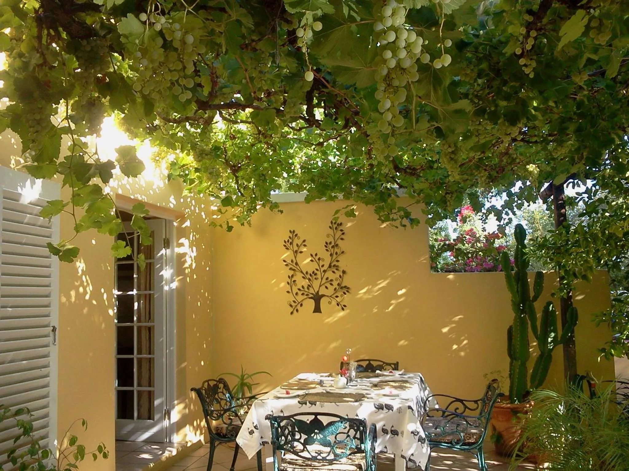 Balcony/Terrace in Saxe-Coburg Lodge