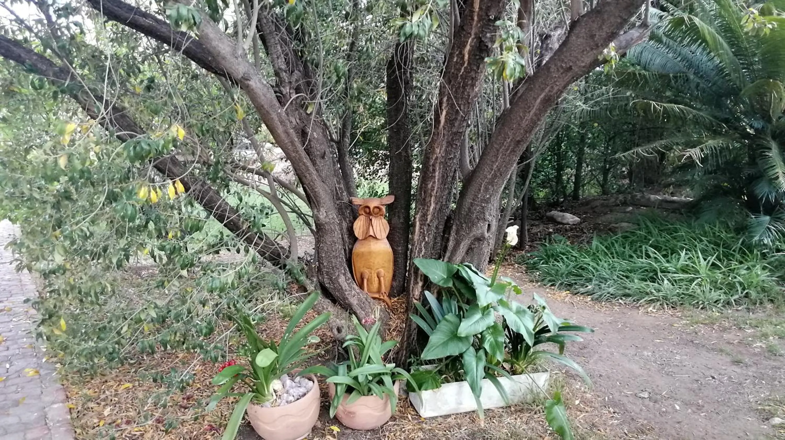 Spring in Saxe-Coburg Lodge