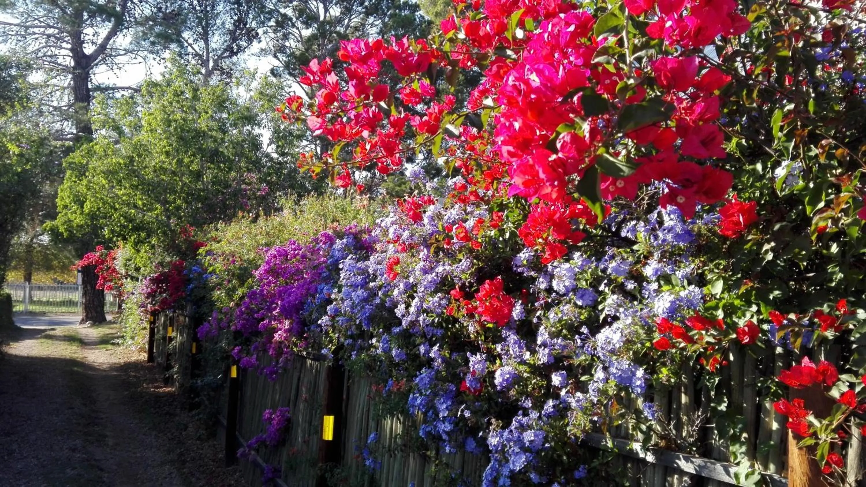 View (from property/room) in Saxe-Coburg Lodge