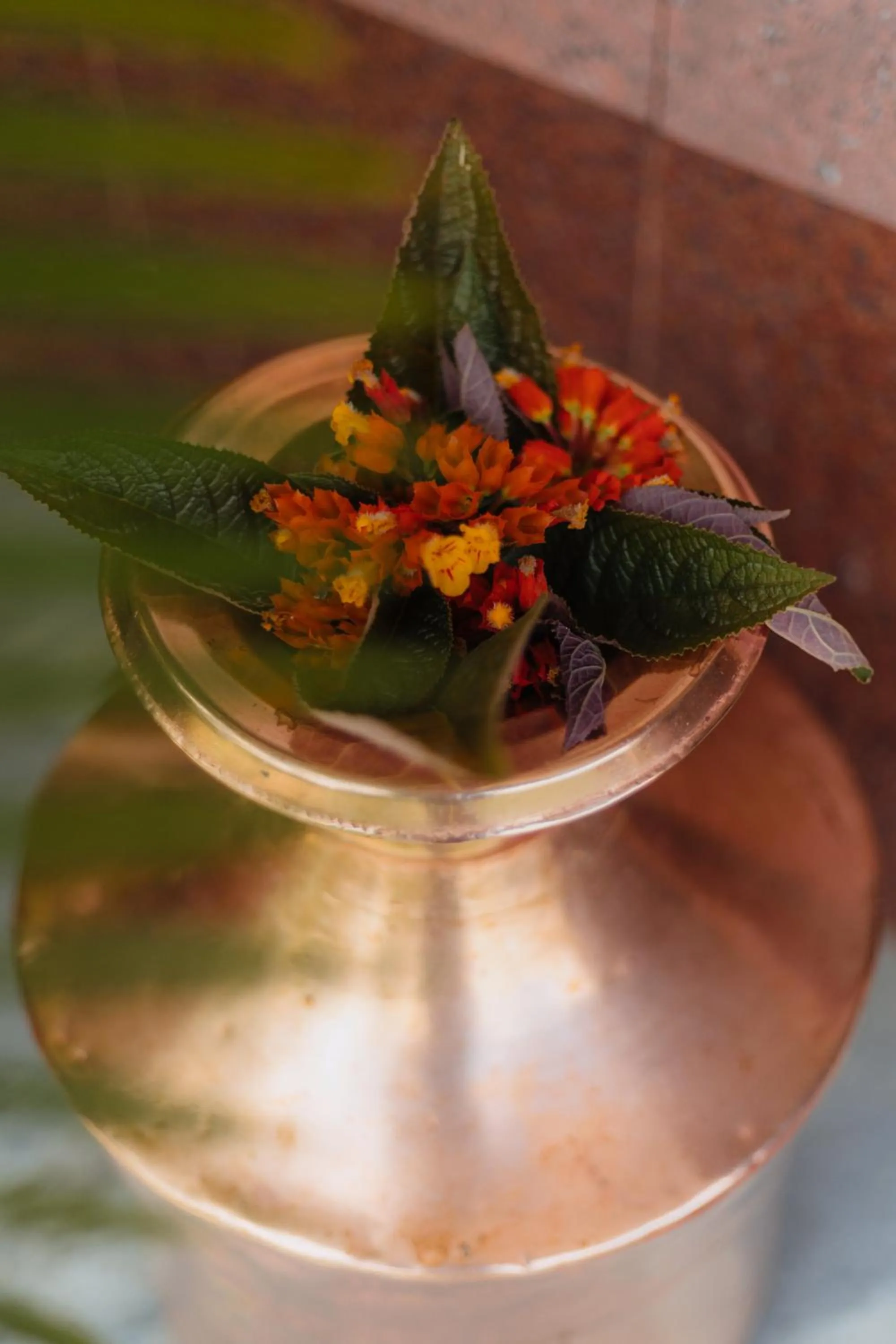 Facade/entrance in Hotel Tulsi