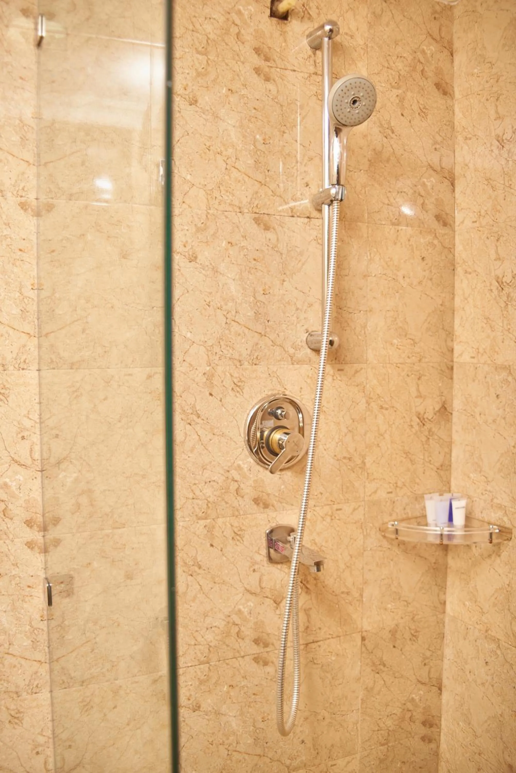 Bathroom in Hotel Tulsi