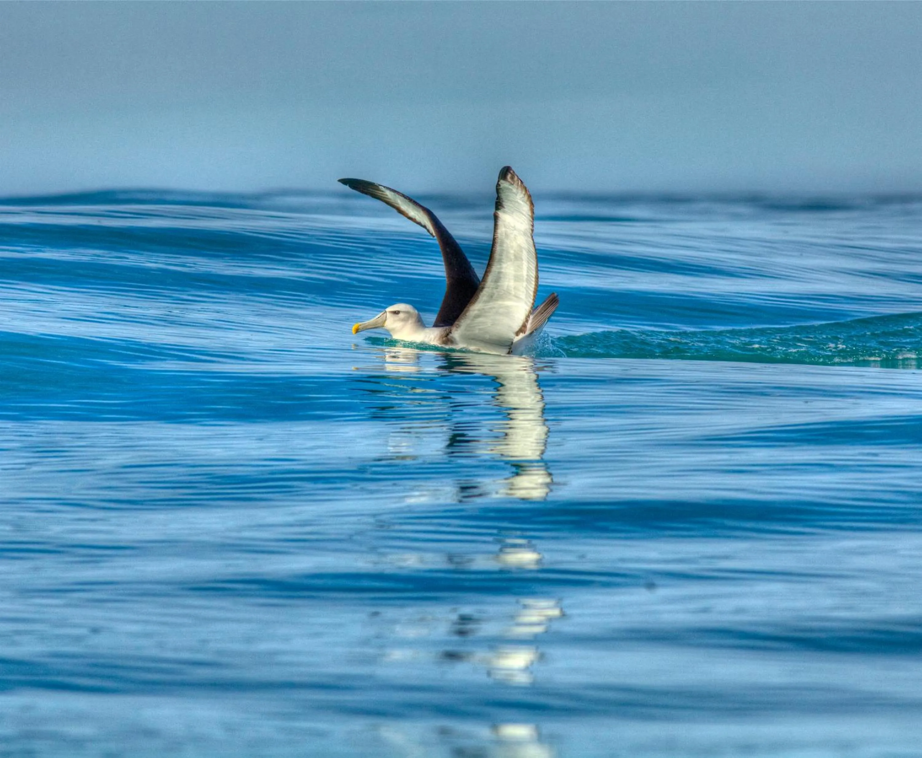 Animals in The Factory Luxury Accomodation