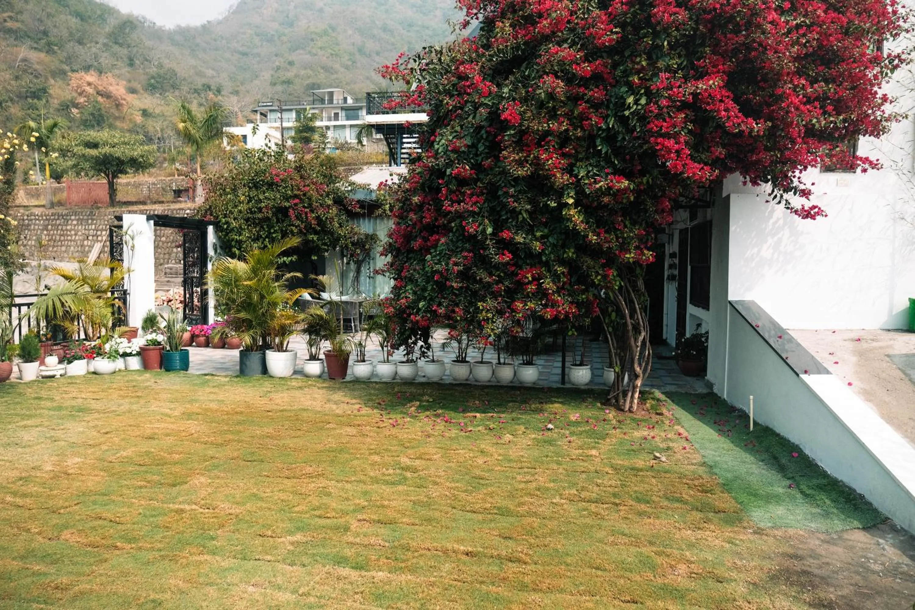 Natural landscape in The Bougainvillea Retreat - A Luxury Private Pool Villa in Dehradun