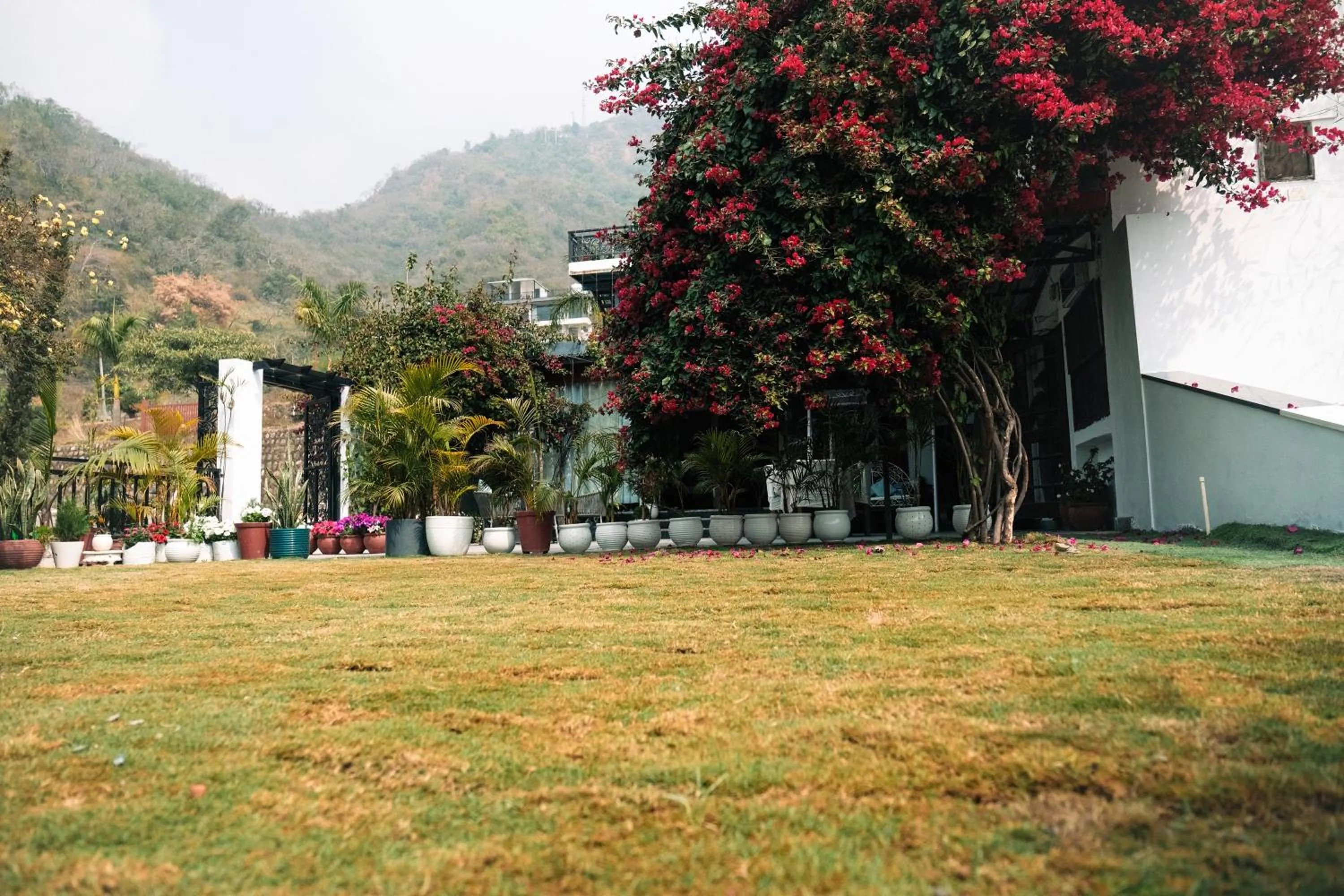 Day in The Bougainvillea Retreat - A Luxury Private Pool Villa in Dehradun