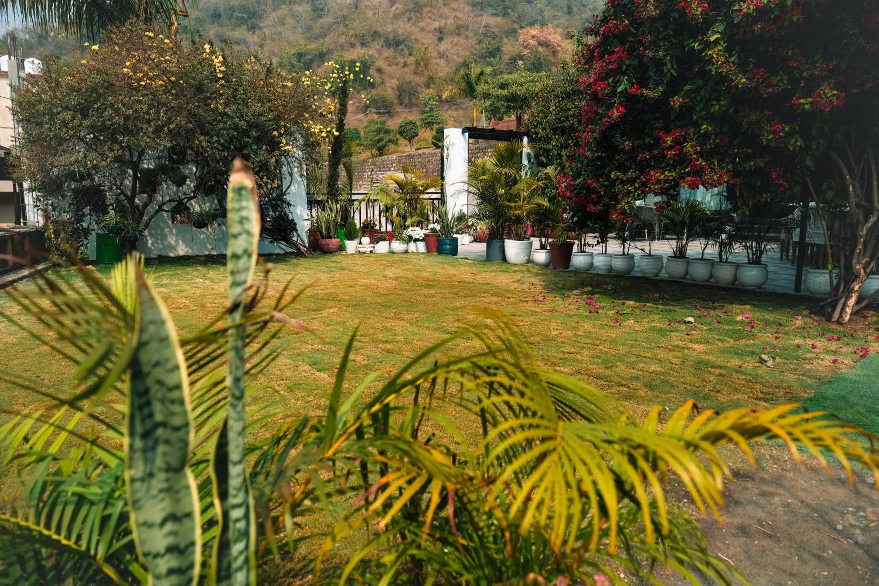 Day in The Bougainvillea Retreat - A Luxury Private Pool Villa in Dehradun