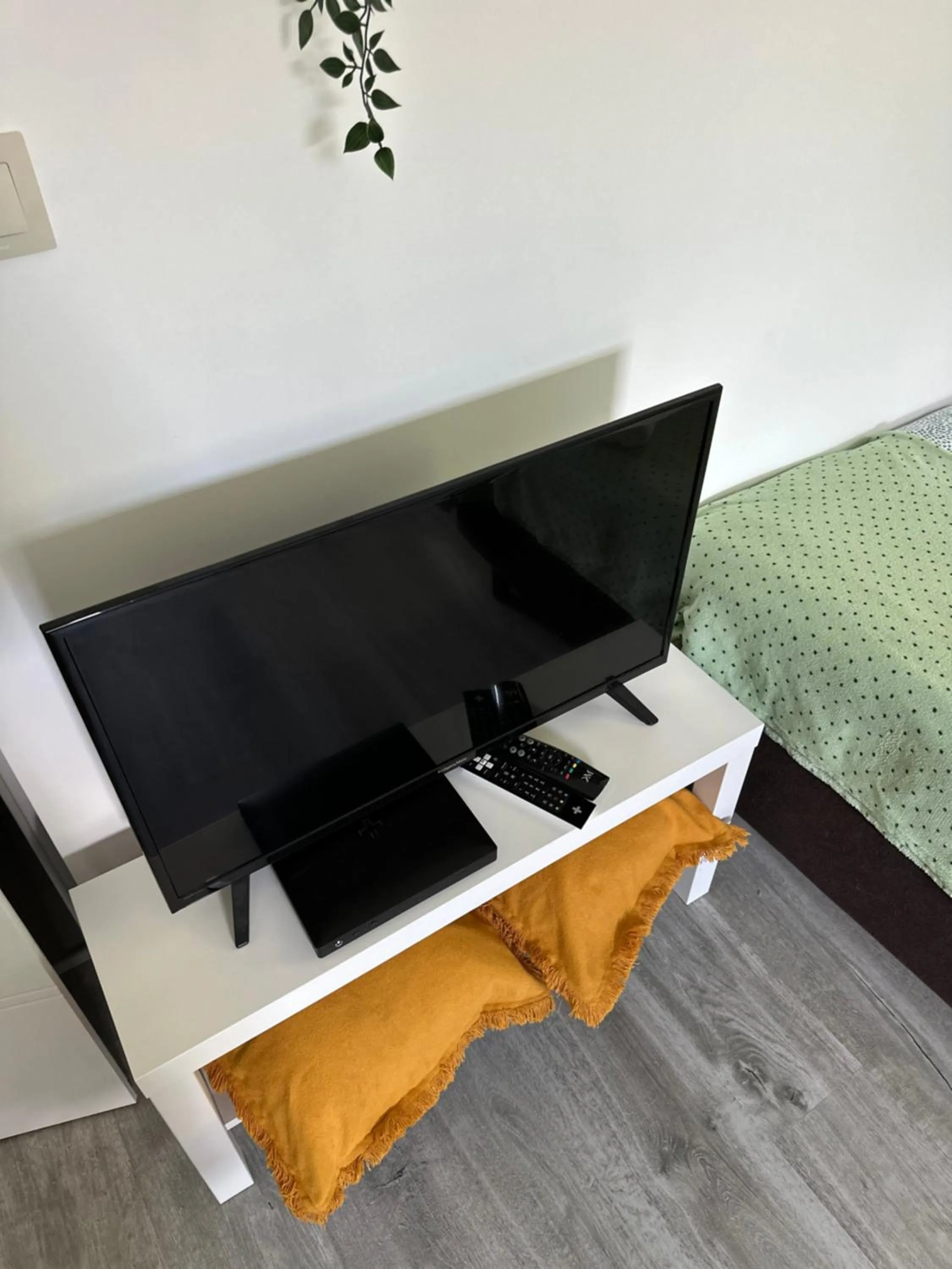 Szumi Las Bed & Breakfast