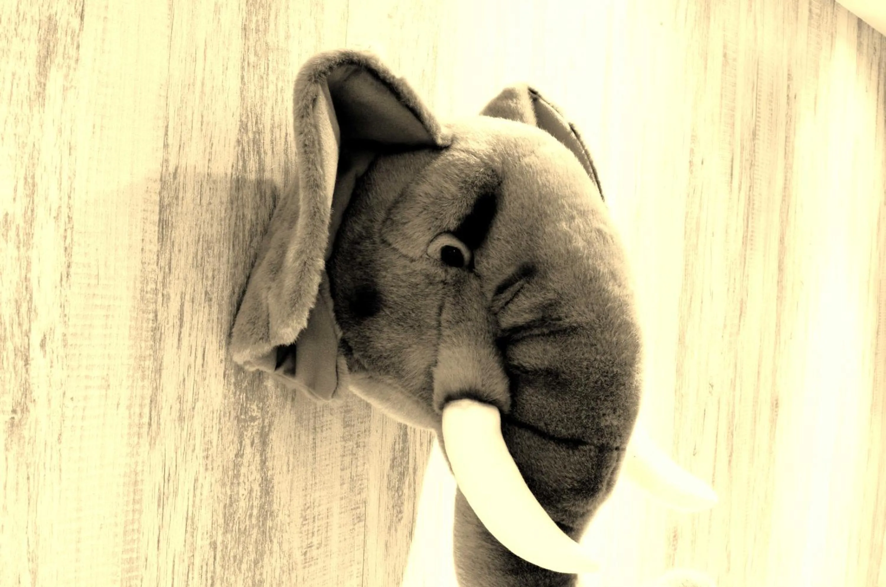 Decorative detail in ARK Hotel - Dongmen