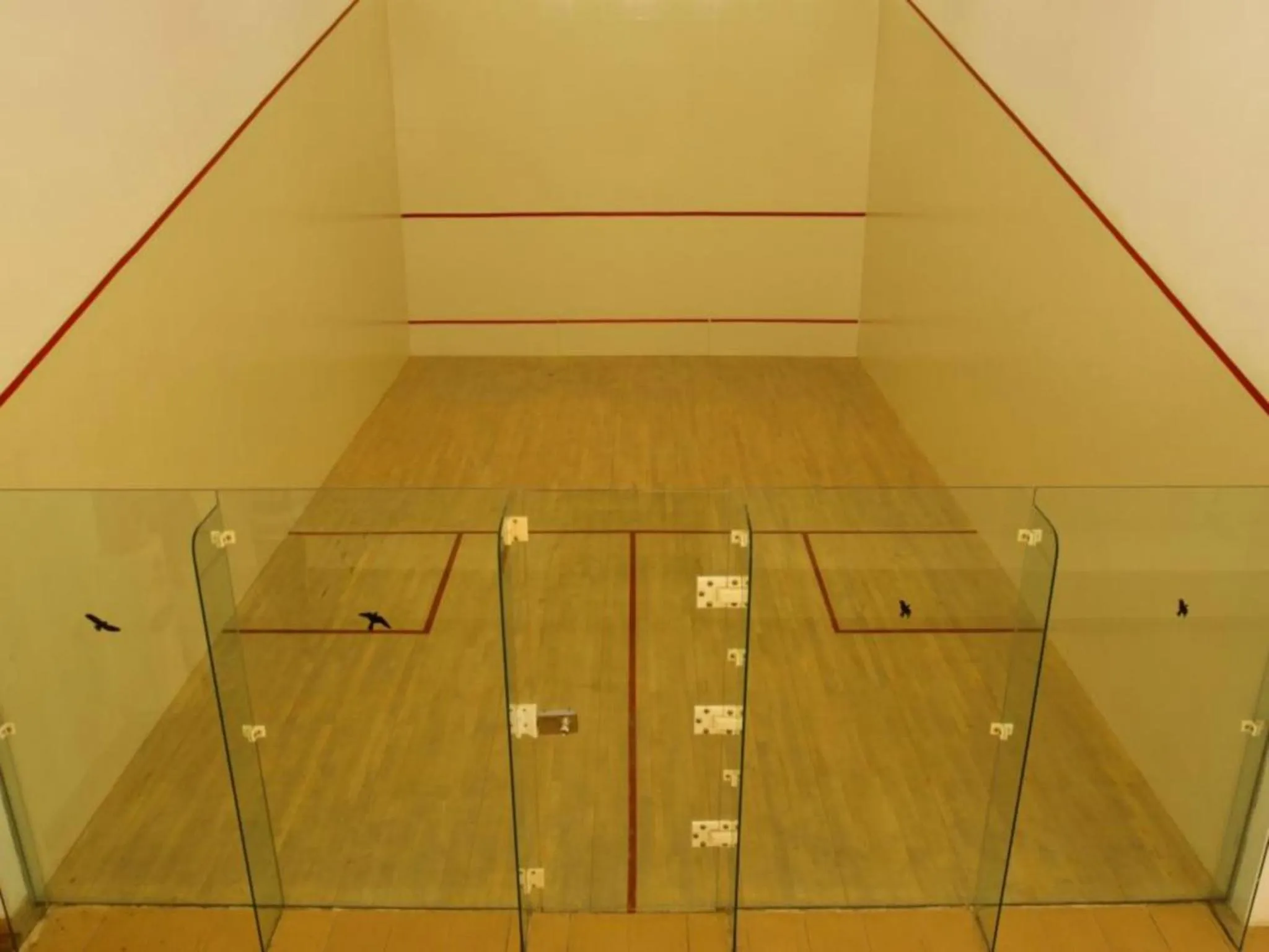 Squash in Concorde El Salam Sharm El Sheikh Sport Hotel