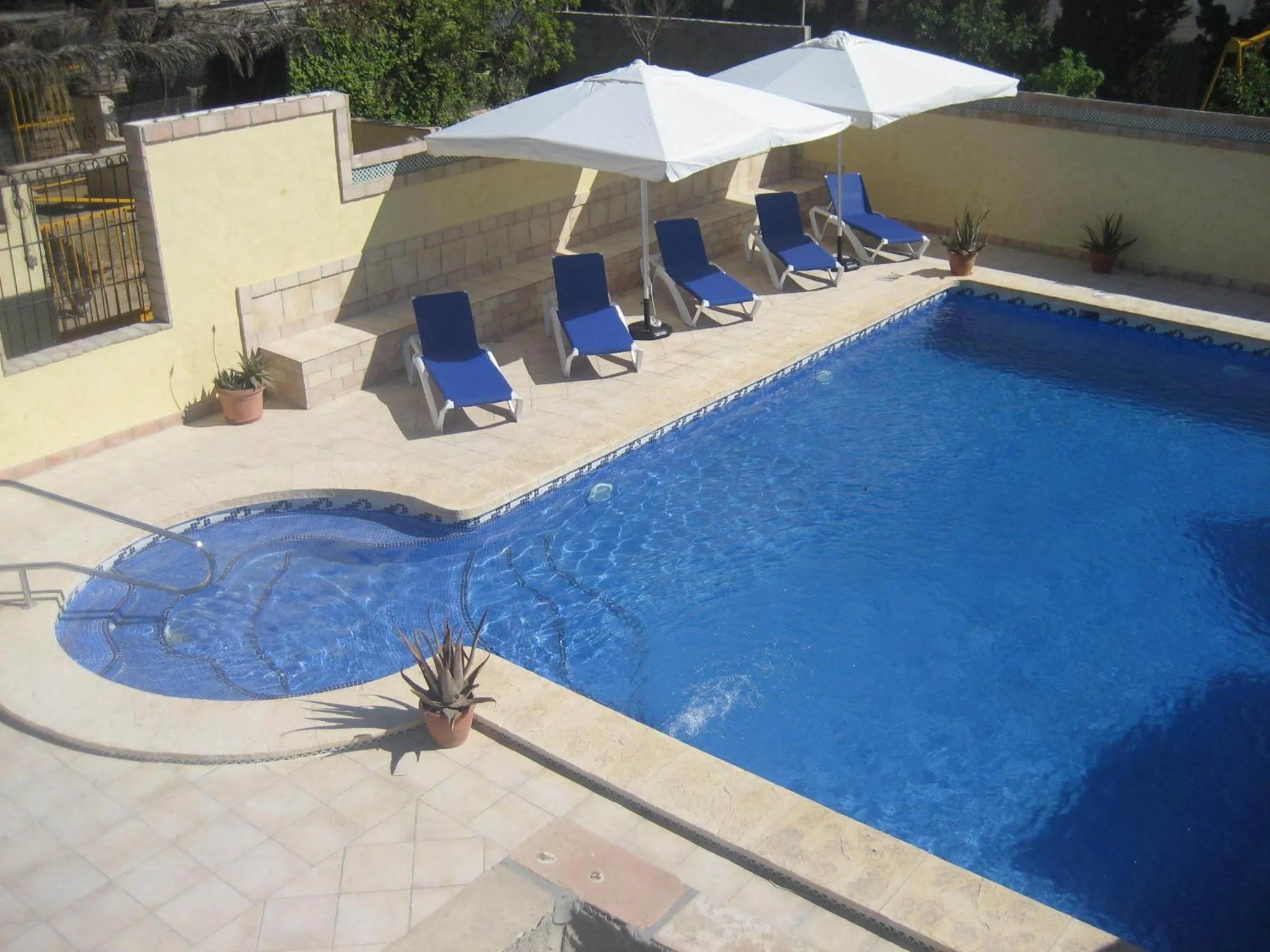 Swimming pool in Finca Doña Sofia Maria