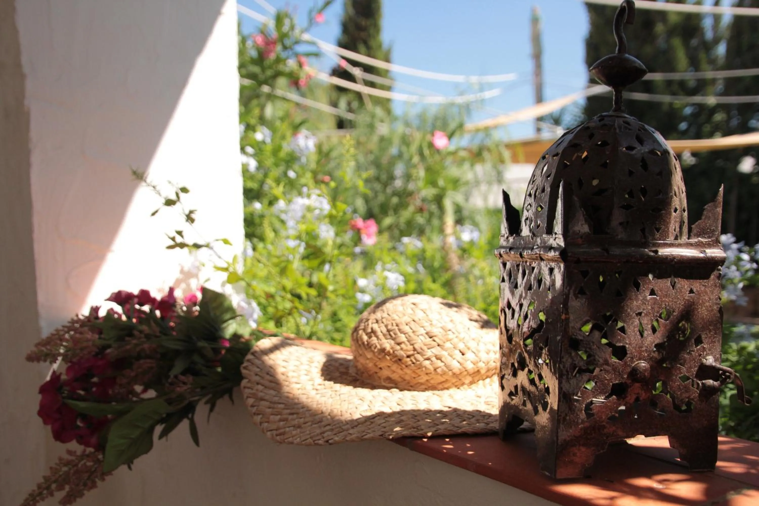 Balcony/Terrace in Finca Doña Sofia Maria