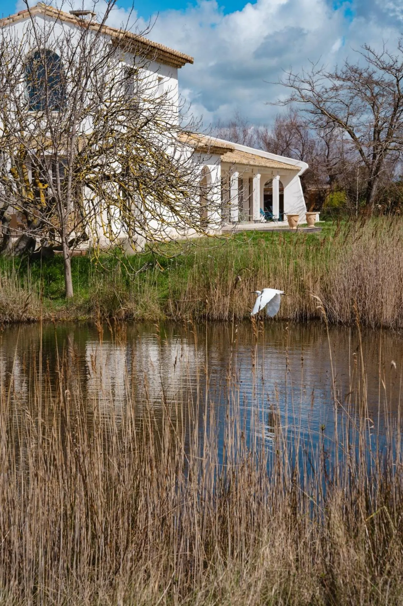 Property building in Mas du Couvin, maison d'hôtes en Camargue