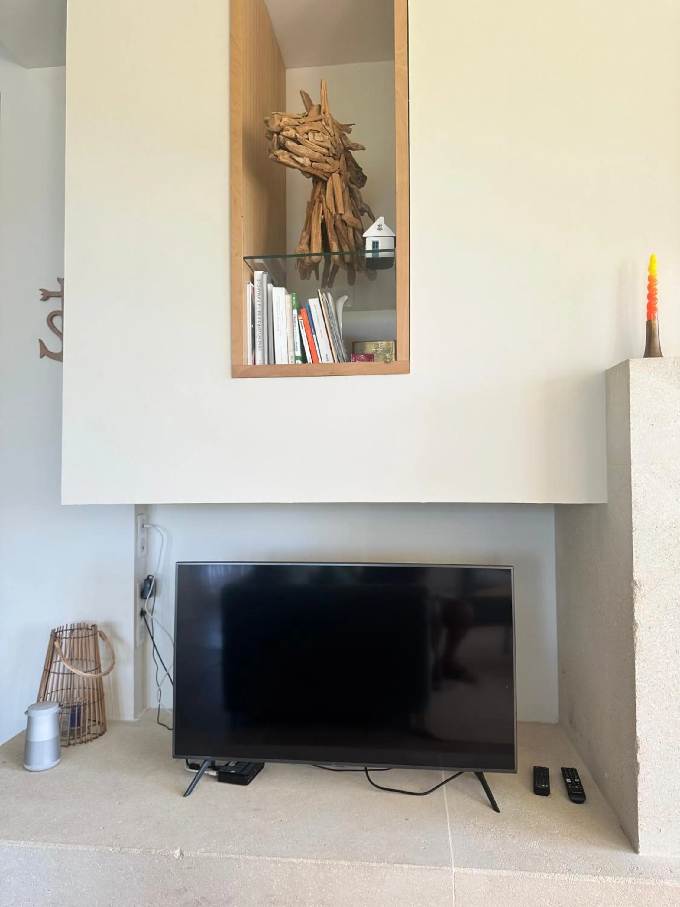 TV and multimedia in Mas du Couvin, maison d'hôtes en Camargue