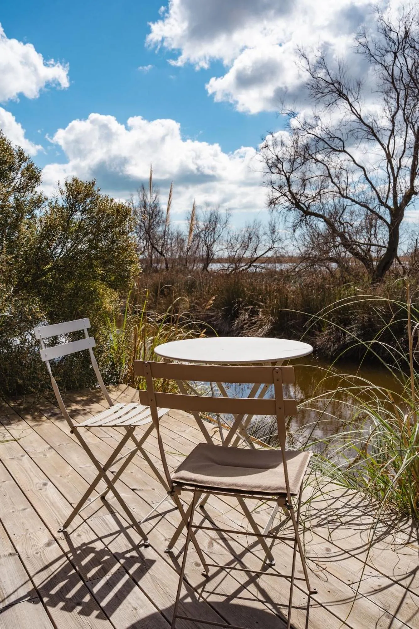Patio in Mas du Couvin, maison d'hôtes en Camargue