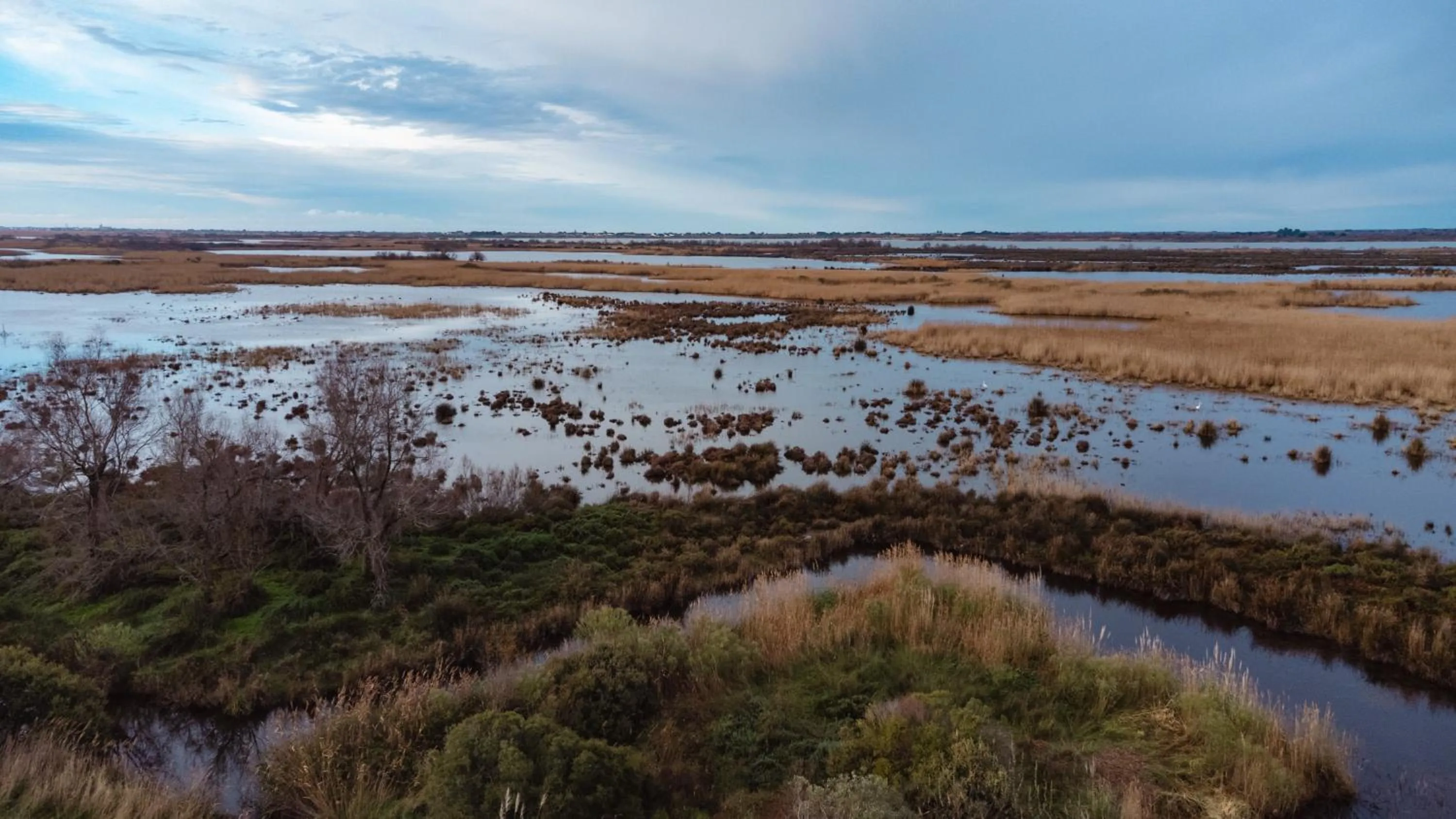 Nearby landmark in Mas du Couvin, maison d'hôtes en Camargue