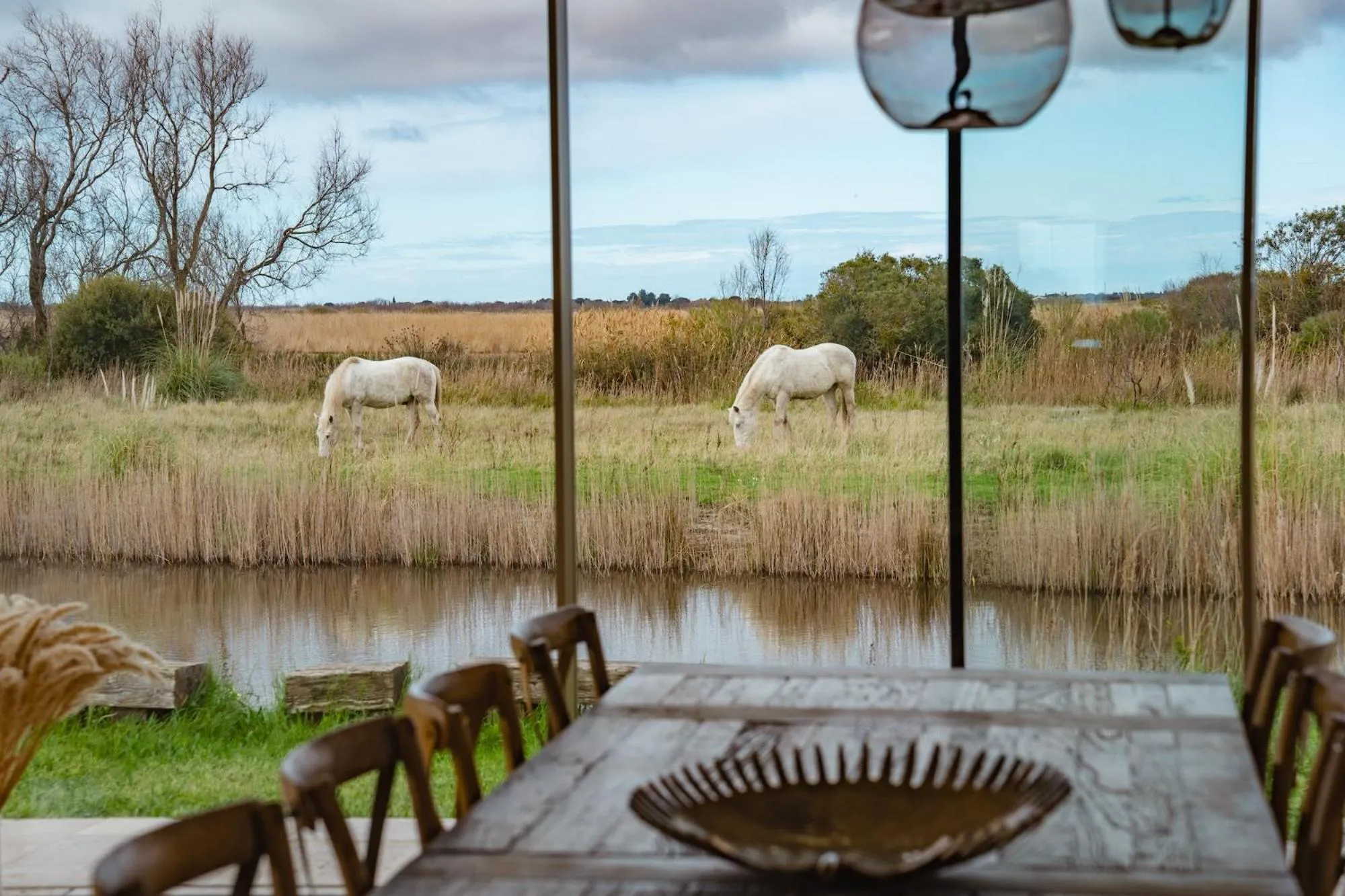 Day in Mas du Couvin, maison d'hôtes en Camargue