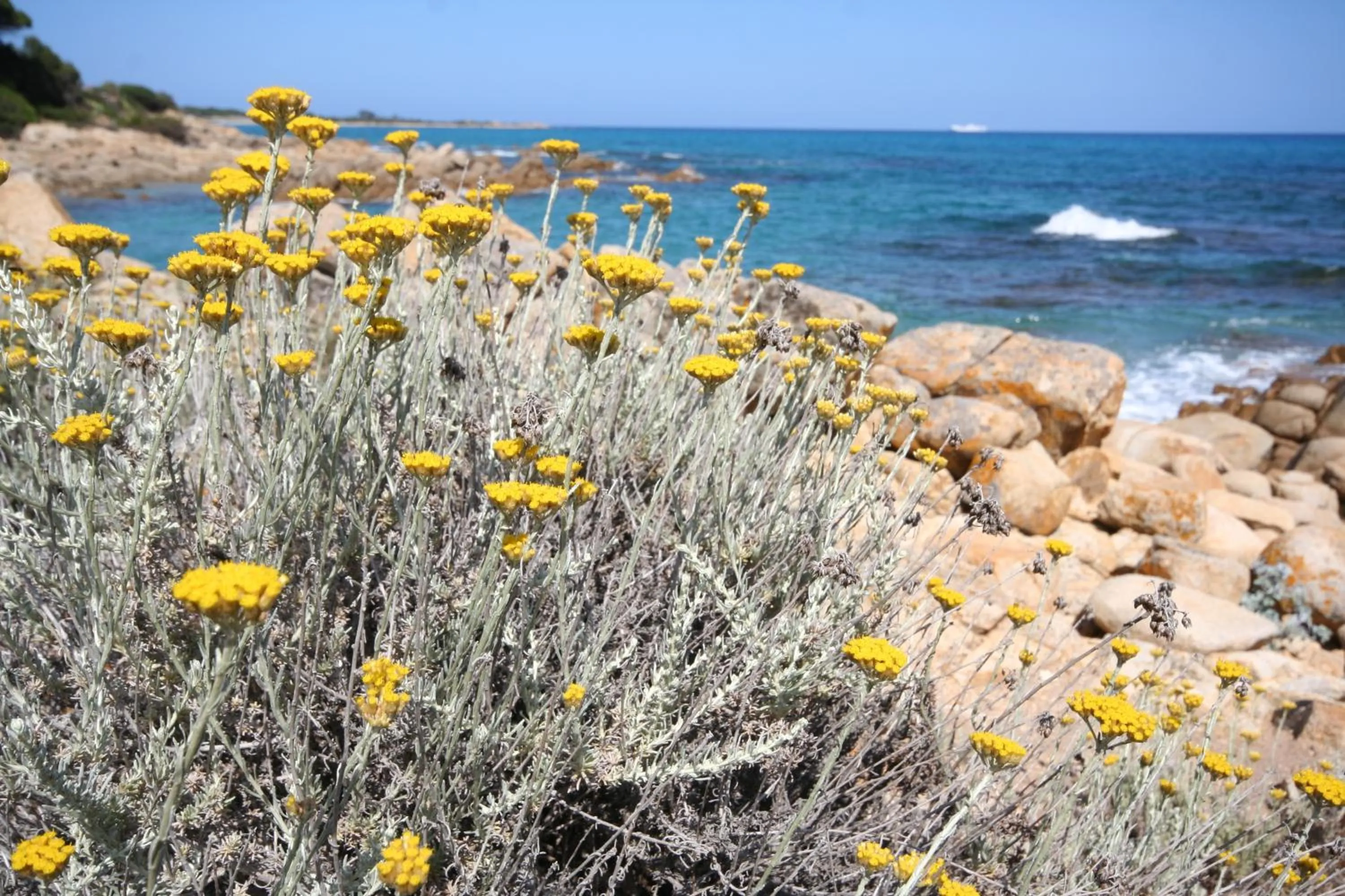Other in Villa La Conchiglia Rooms
