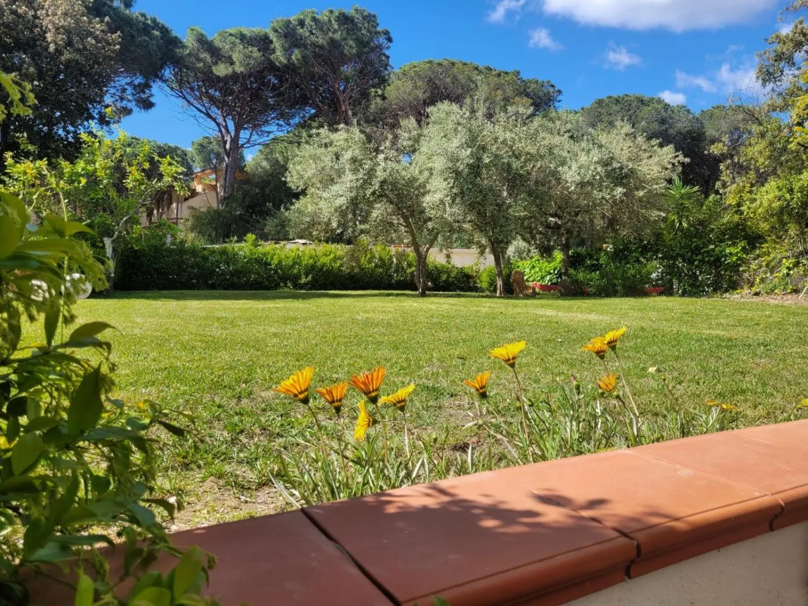 Villa La Conchiglia Rooms