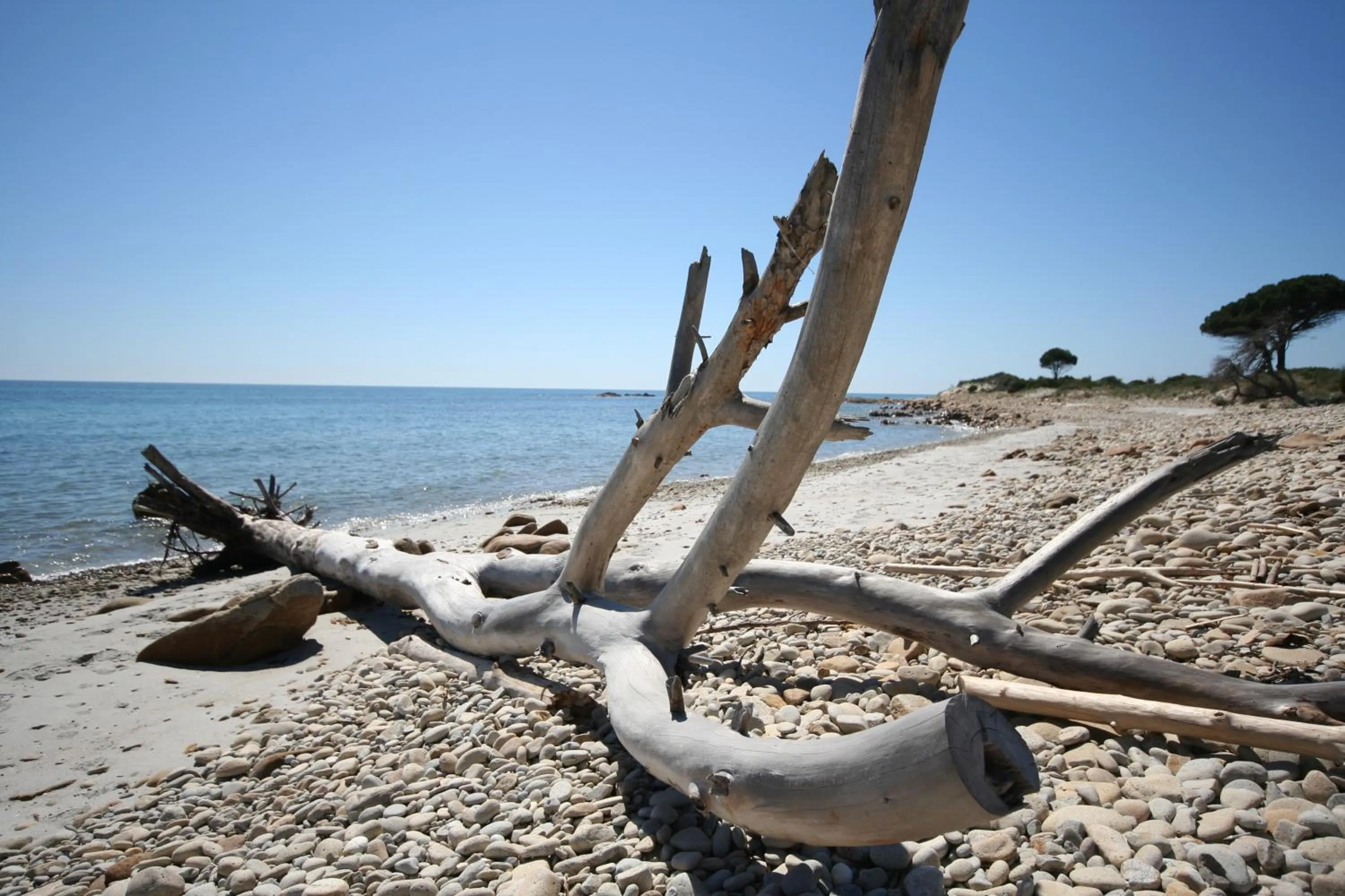 Day in Villa La Conchiglia Rooms
