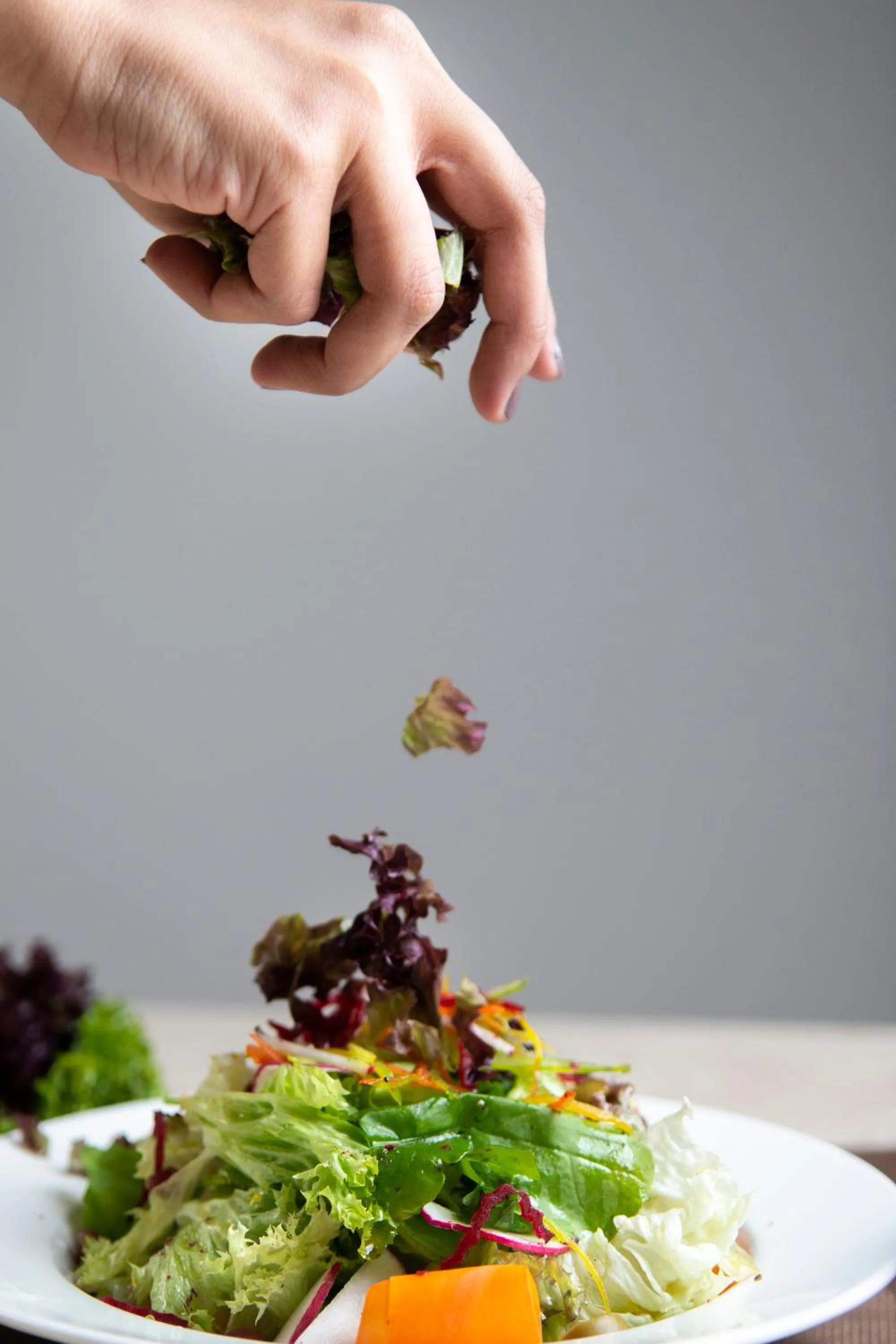 Food in Vittori Palace Hotel and Residences