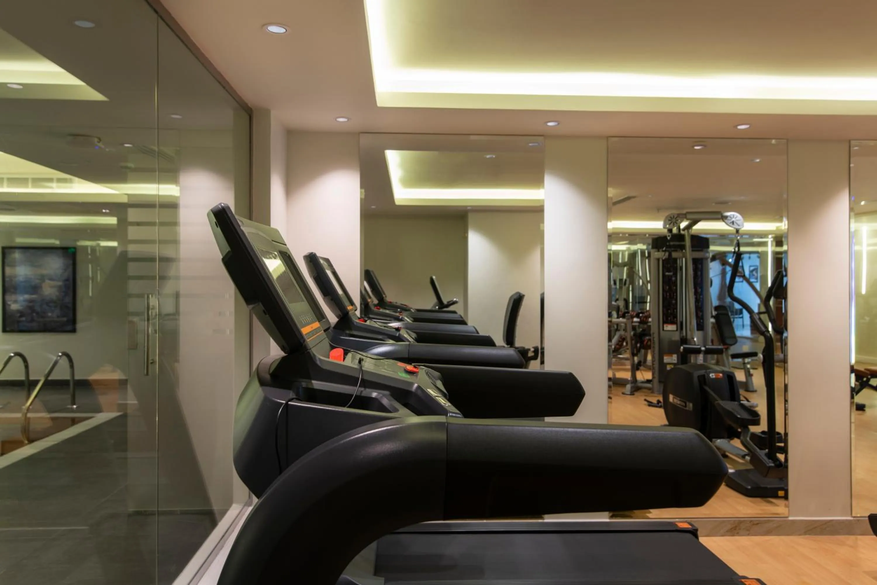 Fitness centre/facilities in Vittori Palace Hotel and Residences