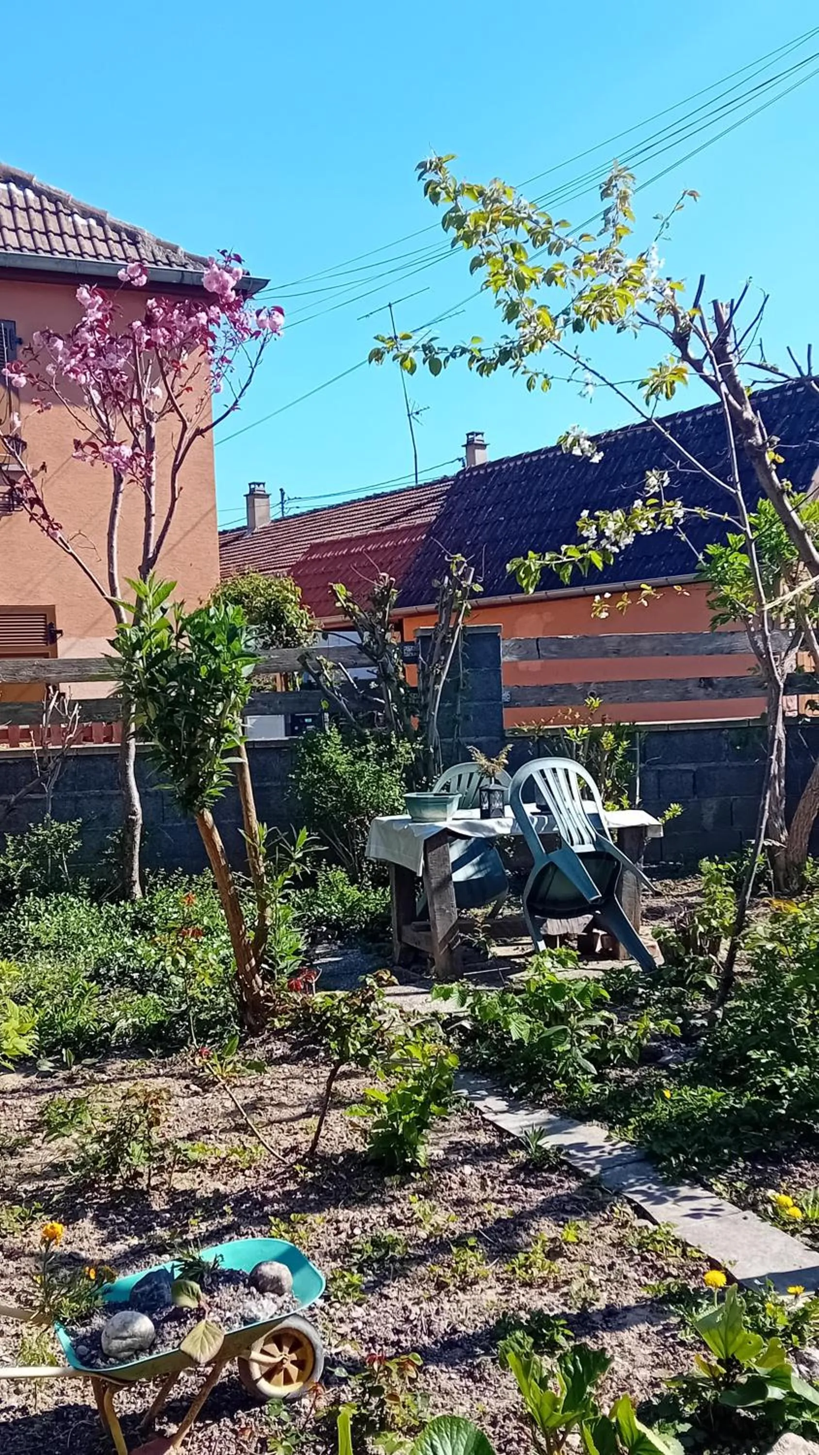 Chambre spacieuse dans joli village alsacien