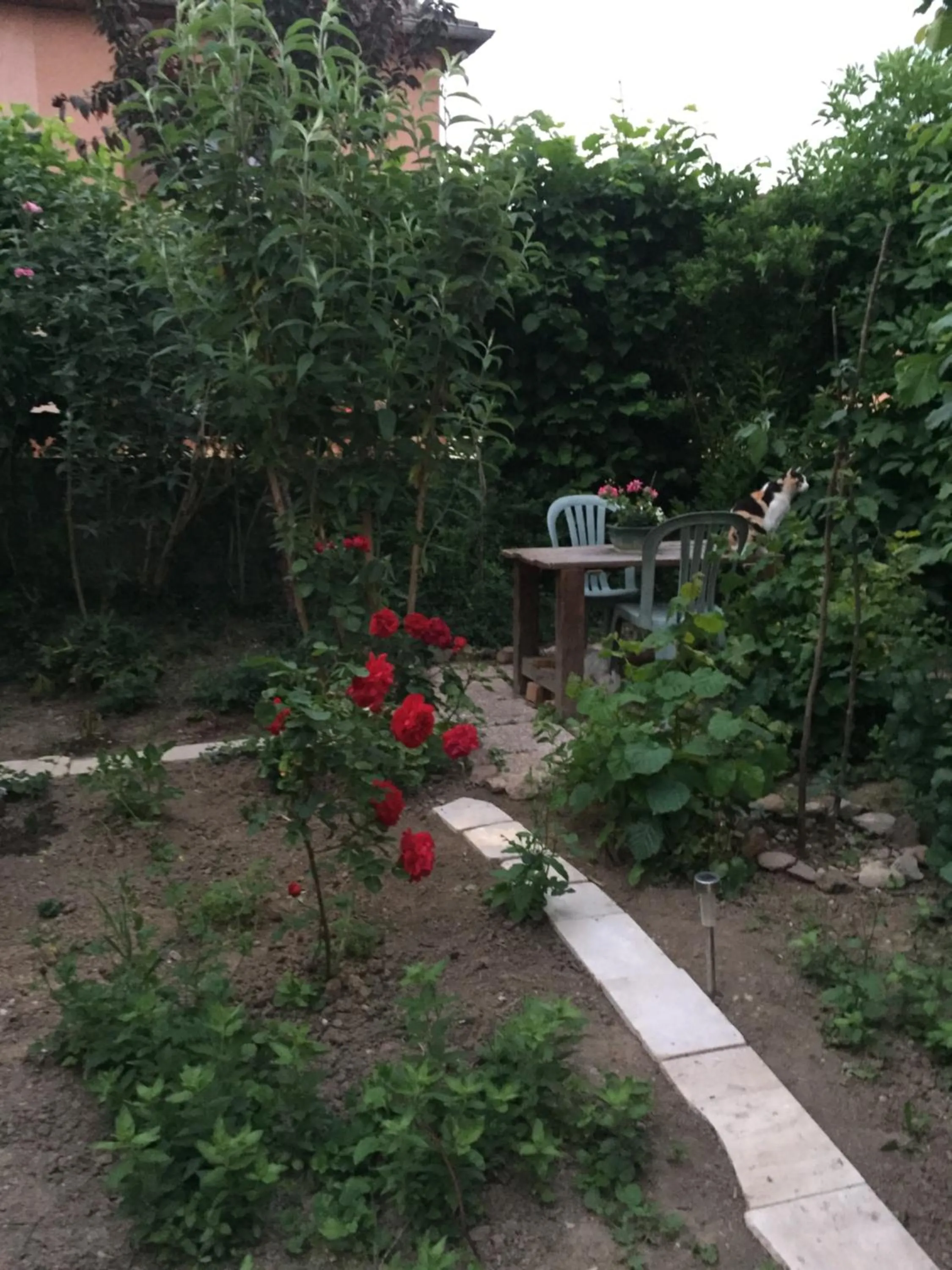 Garden in Chambre spacieuse dans joli village alsacien