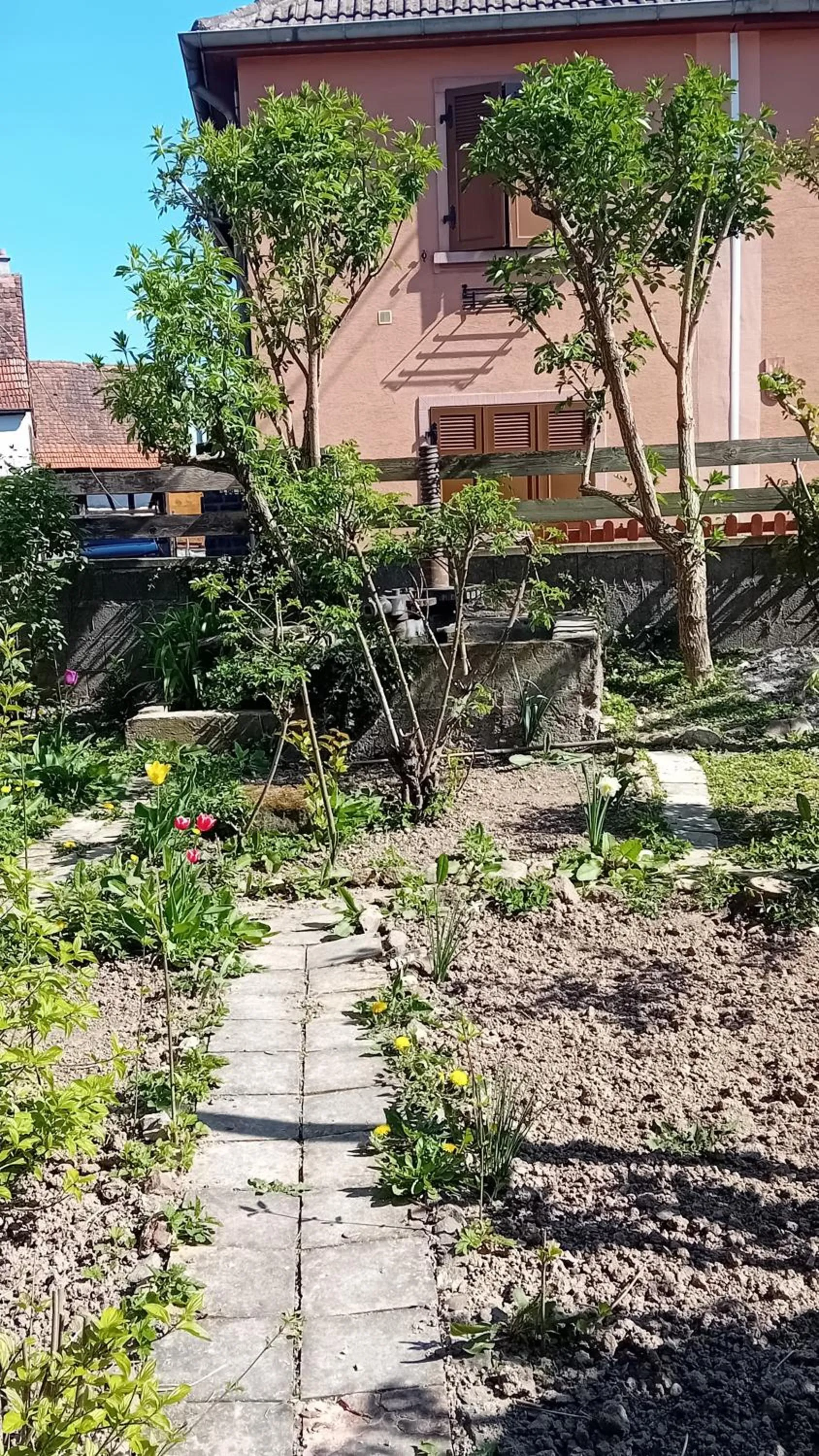 Chambre spacieuse dans joli village alsacien